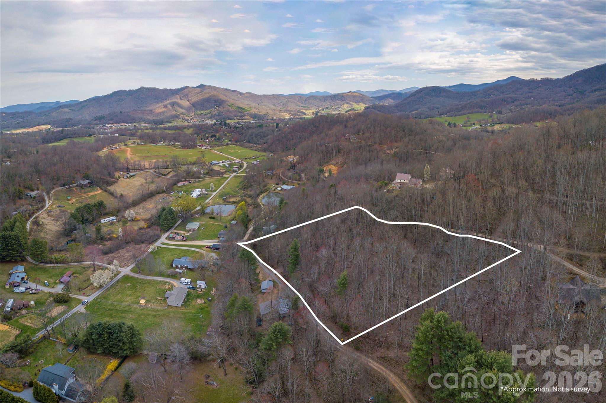Lot at 99999 Molasses Way, Waynesville, photo 2 of 7