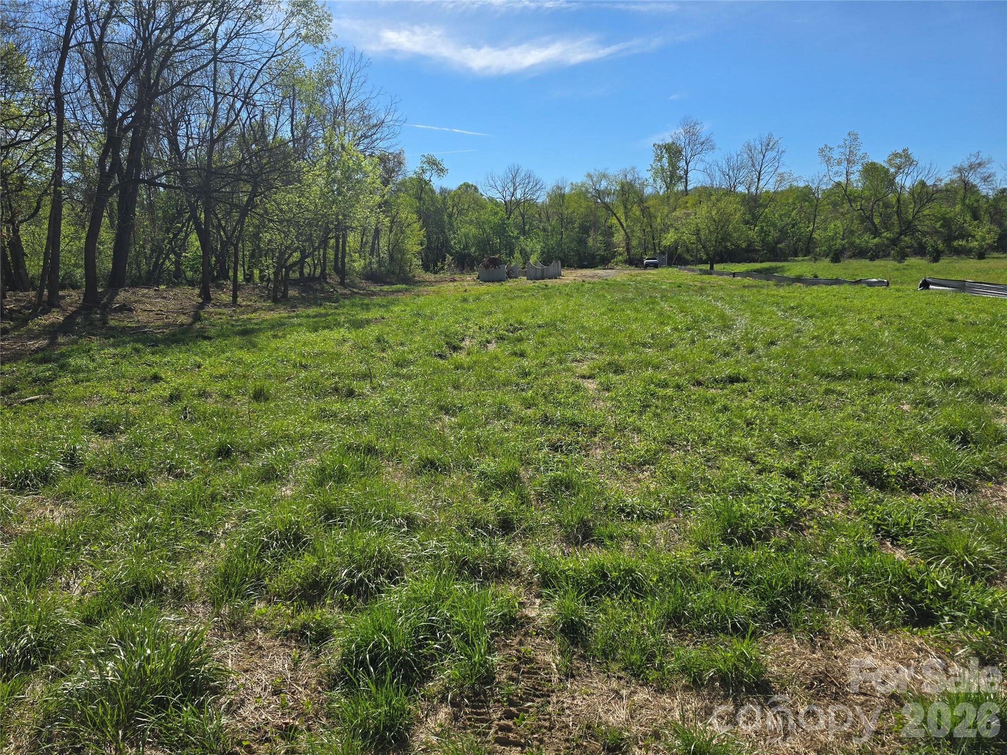 Unimproved Commercial at 65 Mills Gap Road, Fletcher, photo 3 of 6