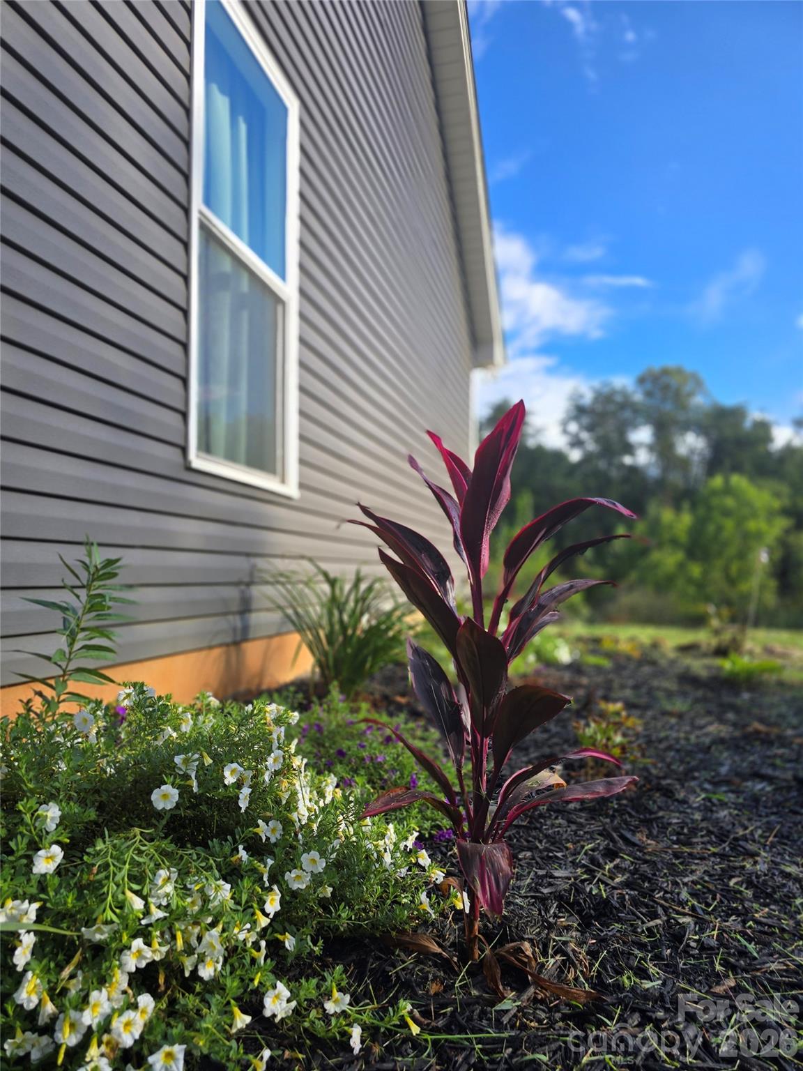 Single Family Residence at 19 Higgins Road, Weaverville, photo 2 of 48