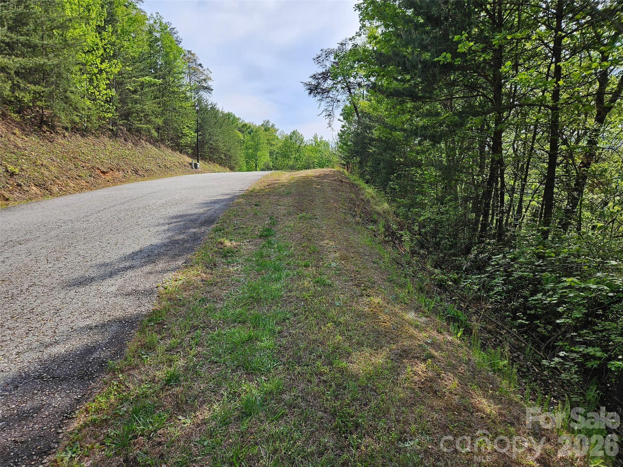 Lot at 0 High Pines Loop, Lake Lure, photo 3 of 11