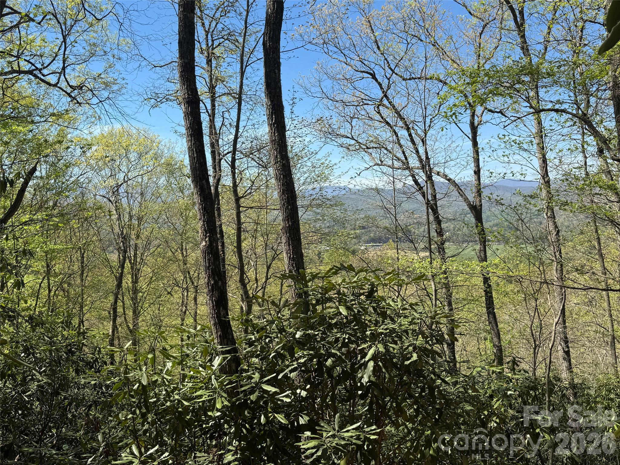 Lot at 33 Reserve Road, Pisgah Forest, photo 2 of 15