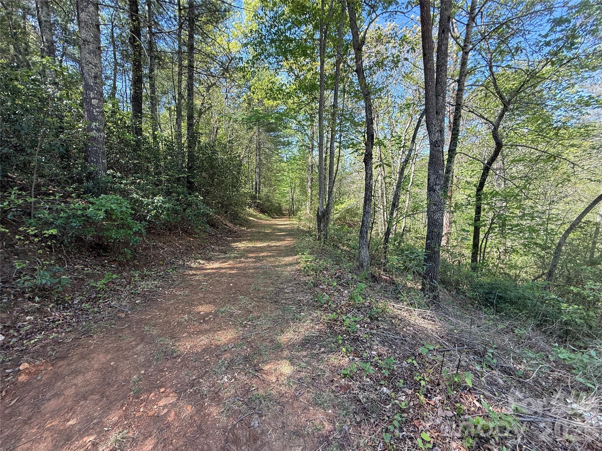 Acreage at 266 Mountain Creek Way, Marion, photo 4 of 8