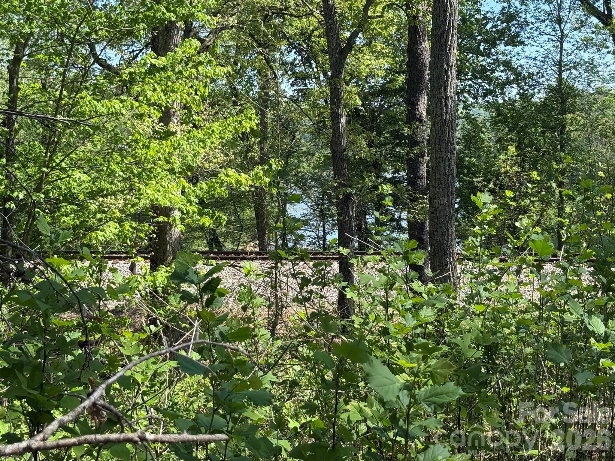 Acreage at 266 Mountain Creek Way, Marion, photo 2 of 8