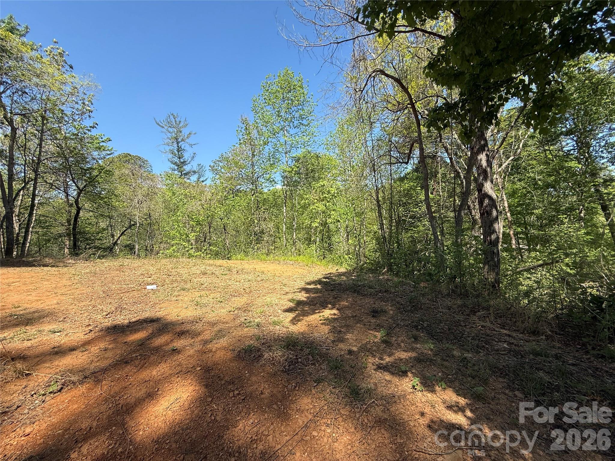 Acreage at 266 Mountain Creek Way, Marion, photo 5 of 8