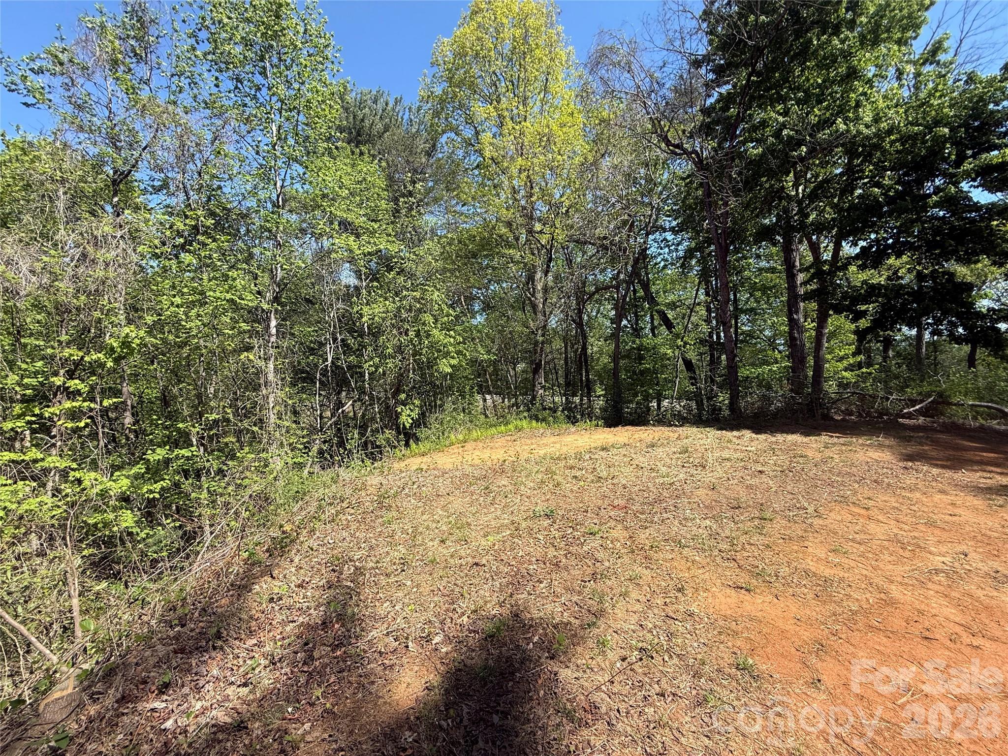 Acreage at 266 Mountain Creek Way, Marion, photo 6 of 8