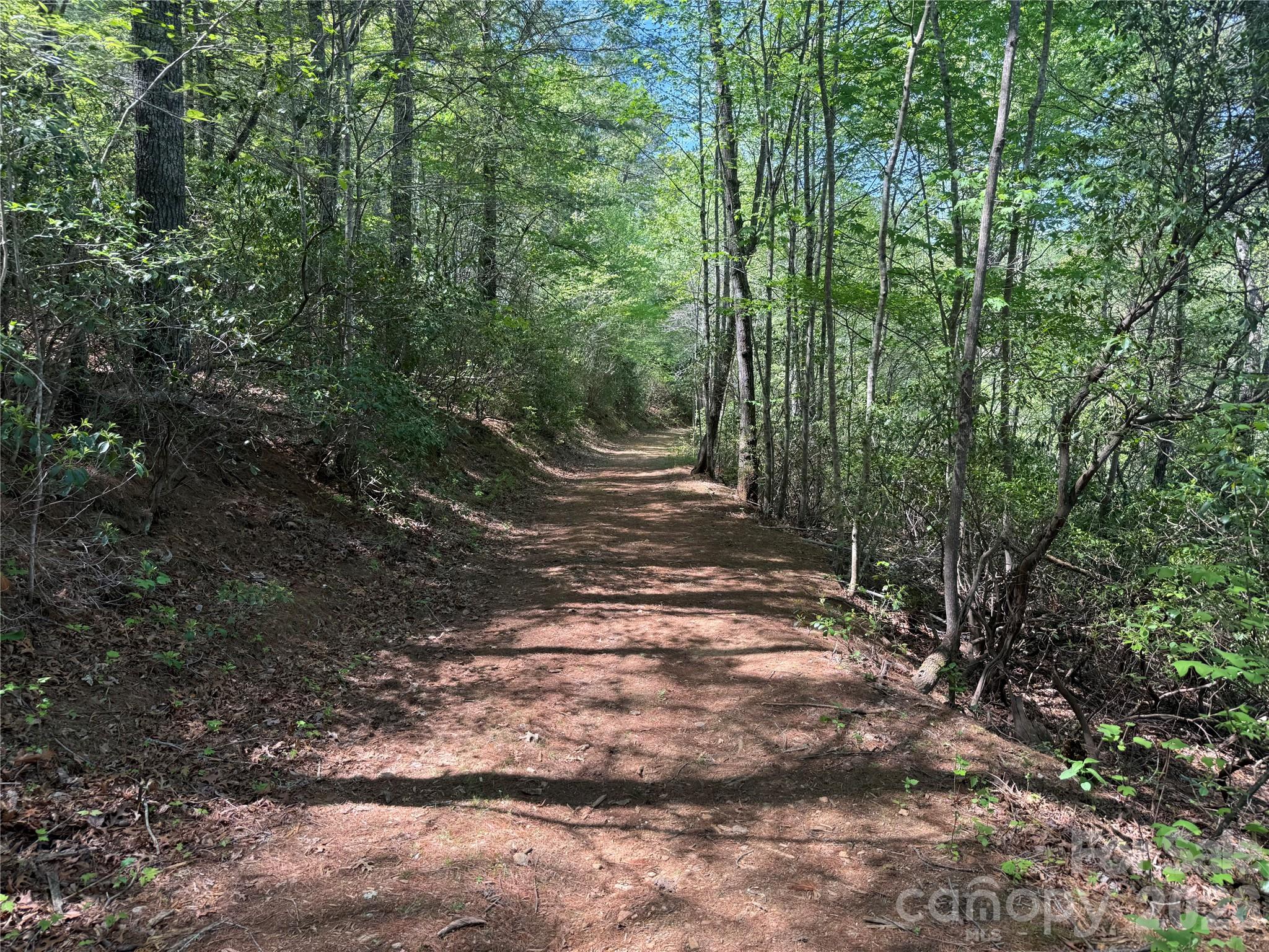 Acreage at 266 Mountain Creek Way, Marion, photo 3 of 8