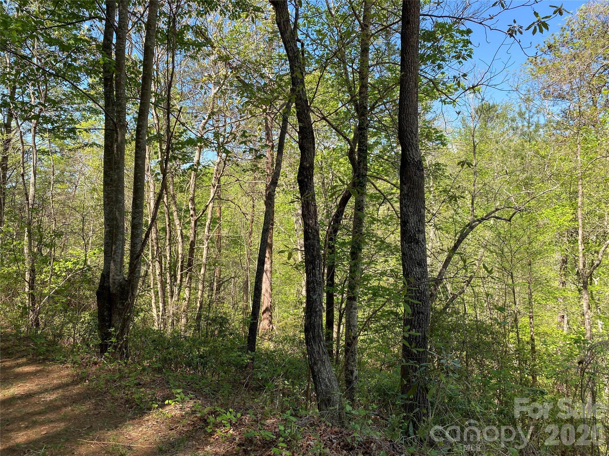 Acreage at 266 Mountain Creek Way, Marion, photo 7 of 8
