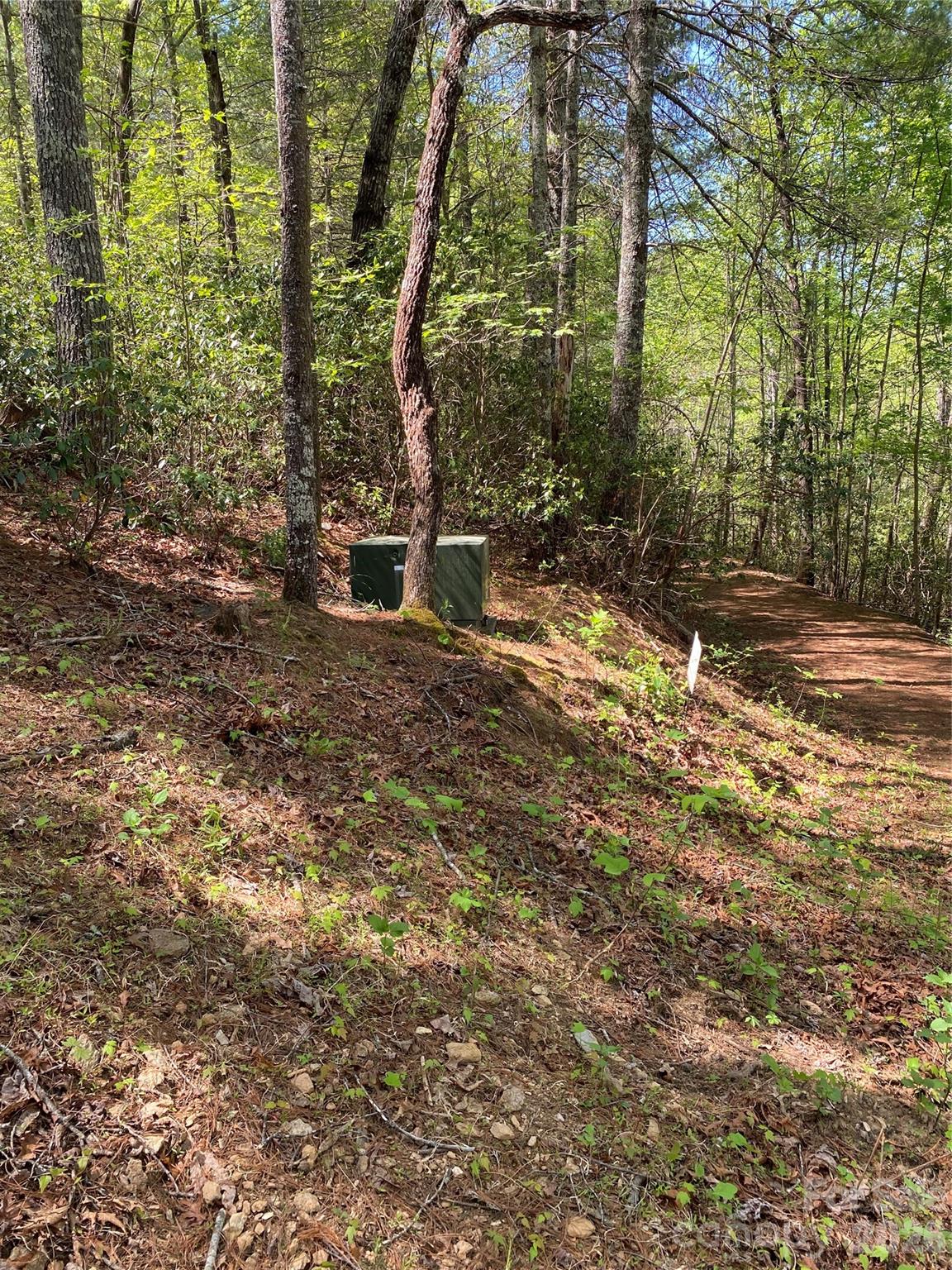 Acreage at 266 Mountain Creek Way, Marion, photo 8 of 8
