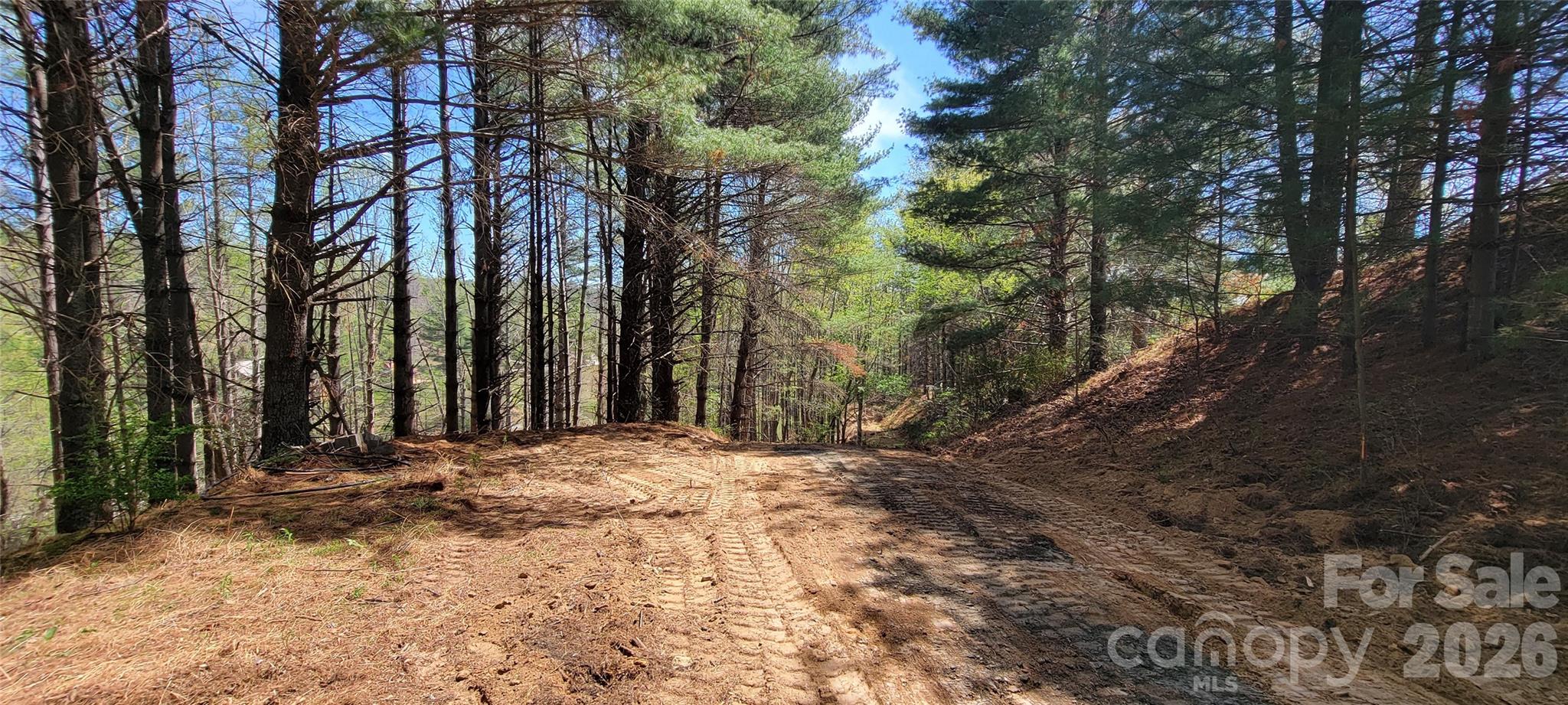 Miriam Way (Property all on Left) - TBD (Lots 25/26/27) Miriam Way, Piney Creek