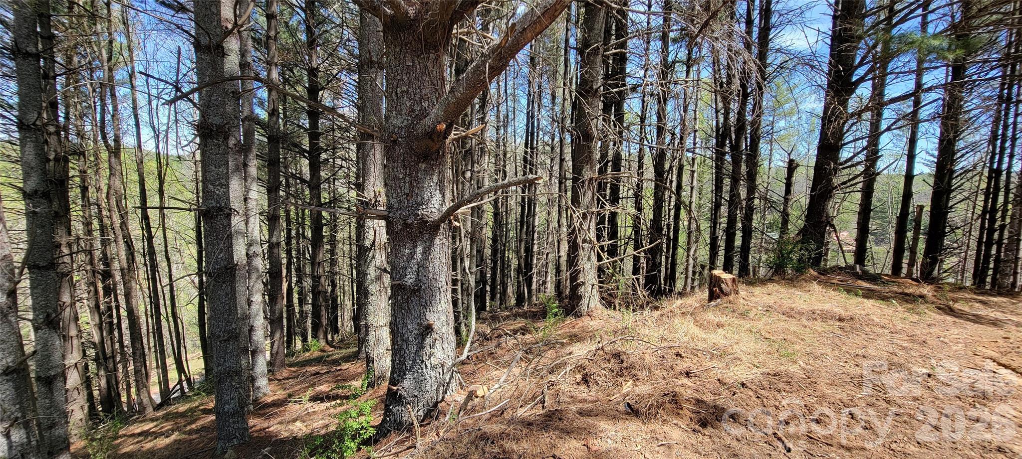 Lot at TBD (Lots 25/26/27) Miriam Way, Piney Creek, photo 7 of 29