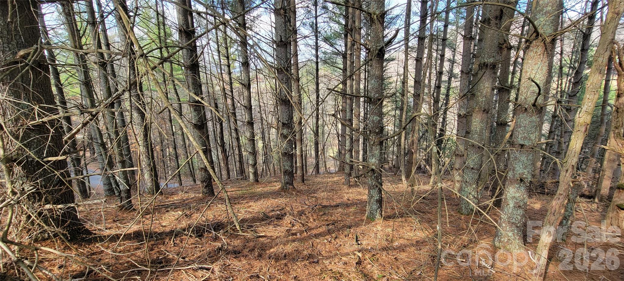 Lot at TBD (Lots 25/26/27) Miriam Way, Piney Creek, photo 9 of 29