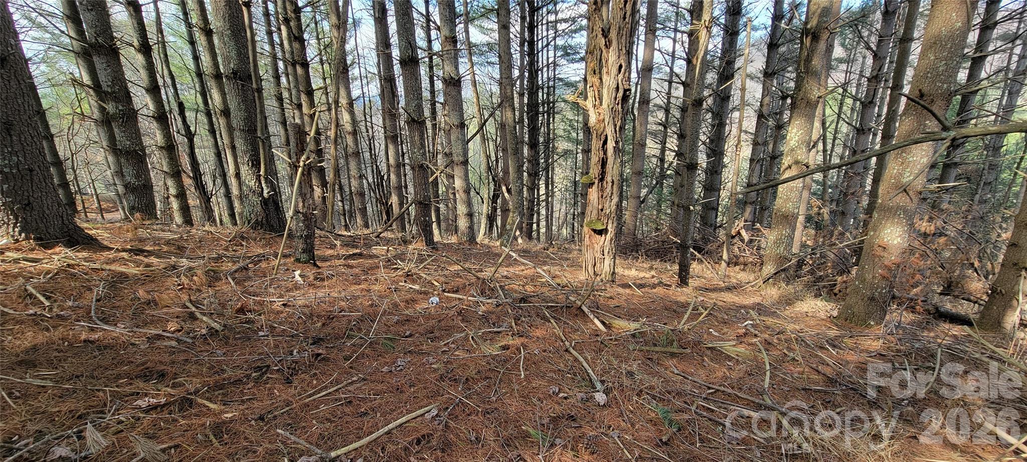 Potential Building Area - TBD (Lots 25/26/27) Miriam Way, Piney Creek