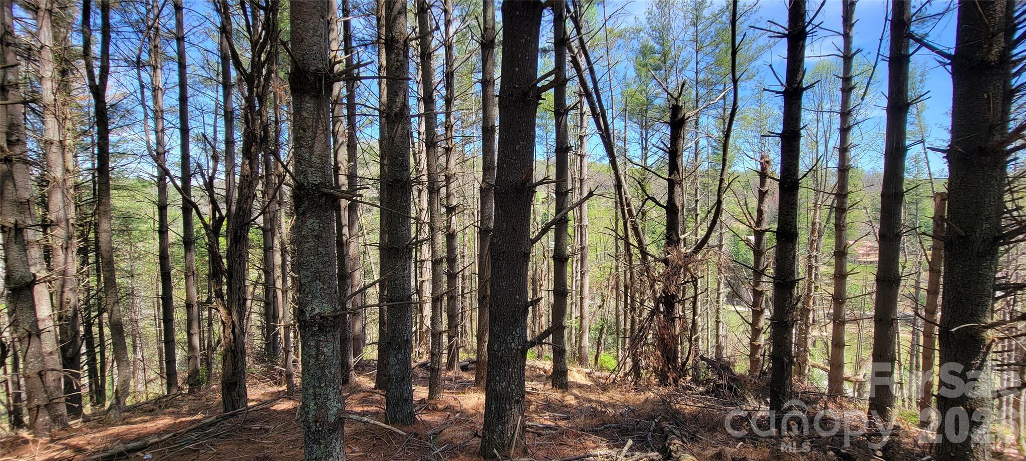 Lot at TBD (Lots 25/26/27) Miriam Way, Piney Creek, photo 13 of 29