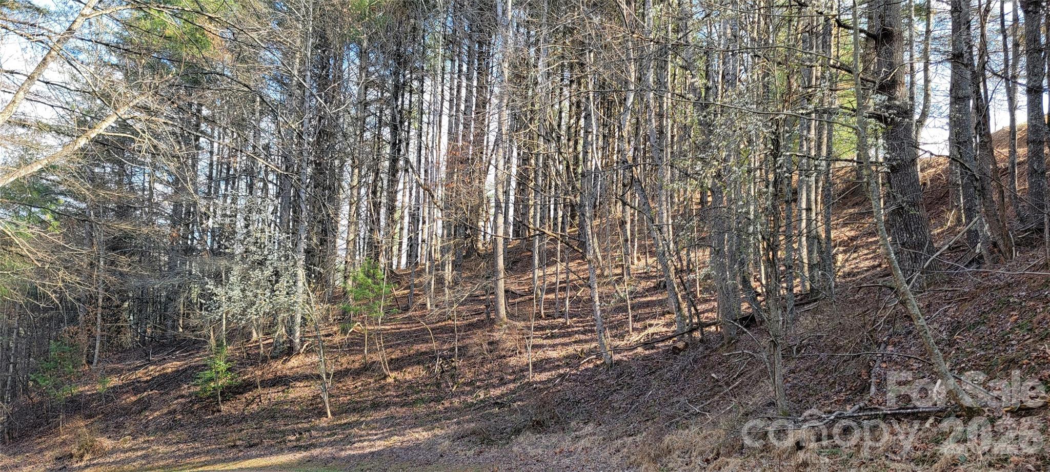 Portion of Property from Road - TBD (Lots 25/26/27) Miriam Way, Piney Creek