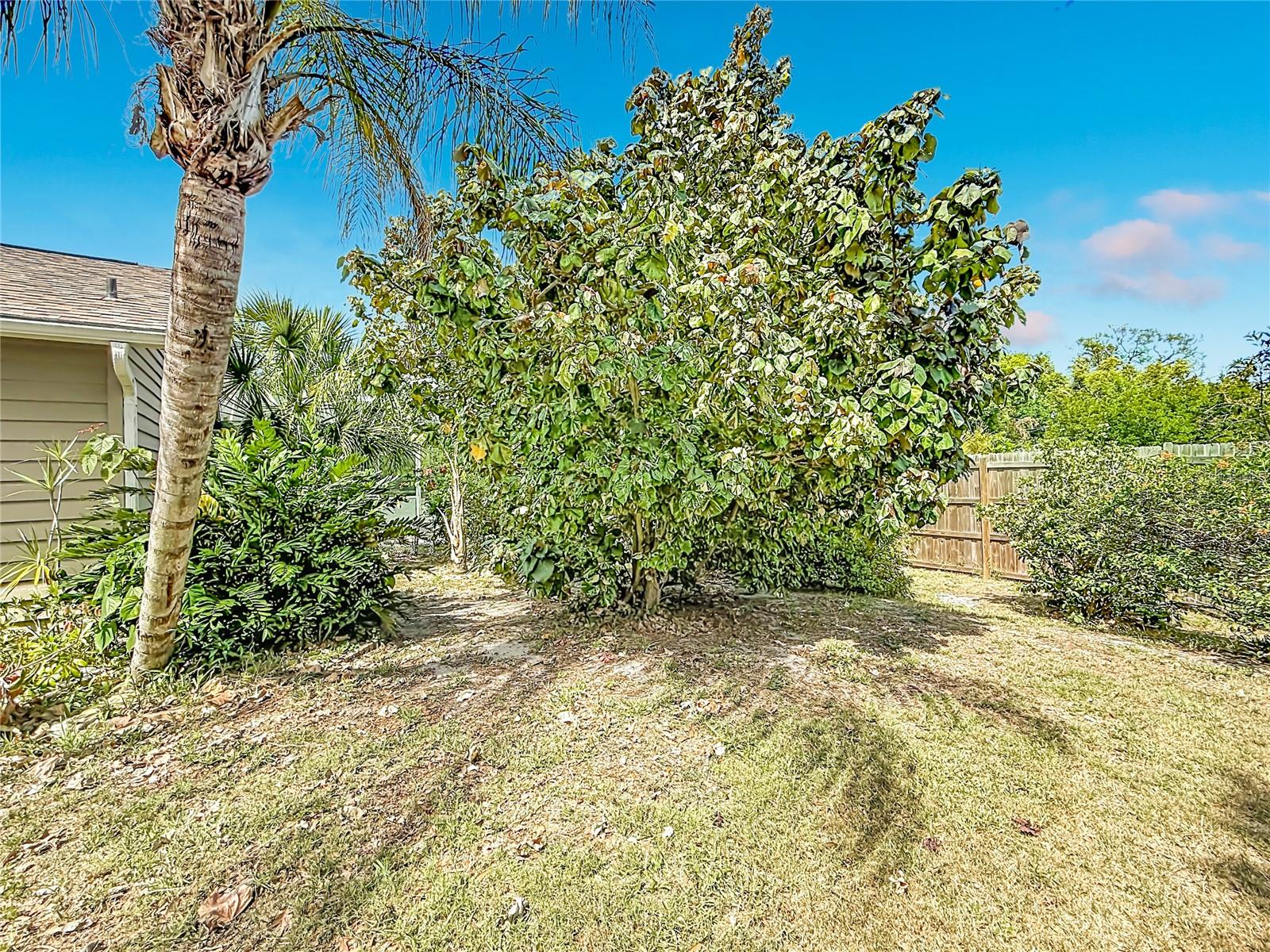 Single Family Residence at 601 E SEMINOLE DR, VENICE, photo 46 of 52