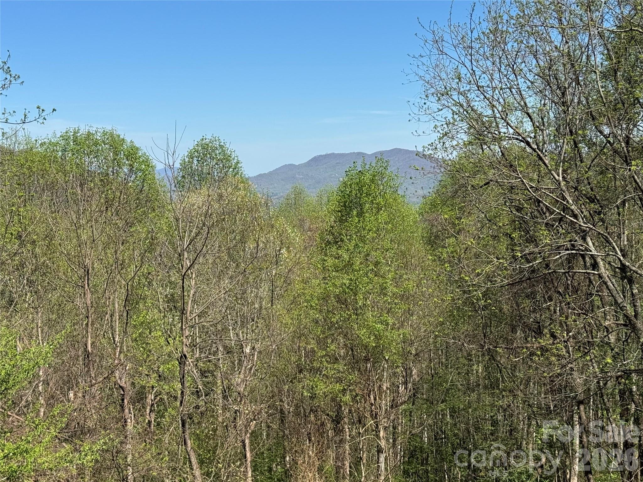 Single Family Residence at 1618 Walnut Creek Road, Waynesville, photo 26 of 41