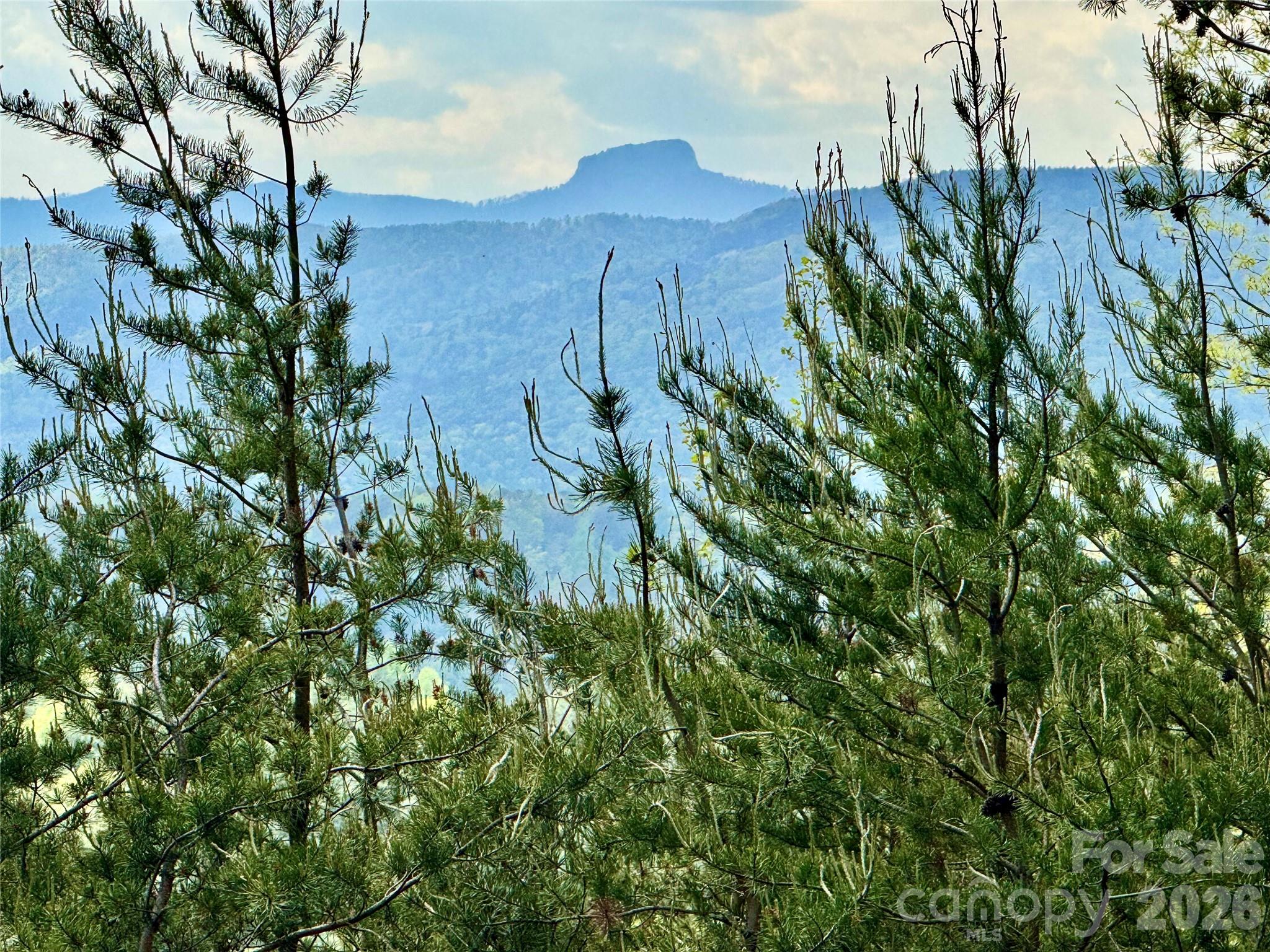 Lot at Lot 161/162 Rocky Falls Lane, Lenoir, photo 3 of 45