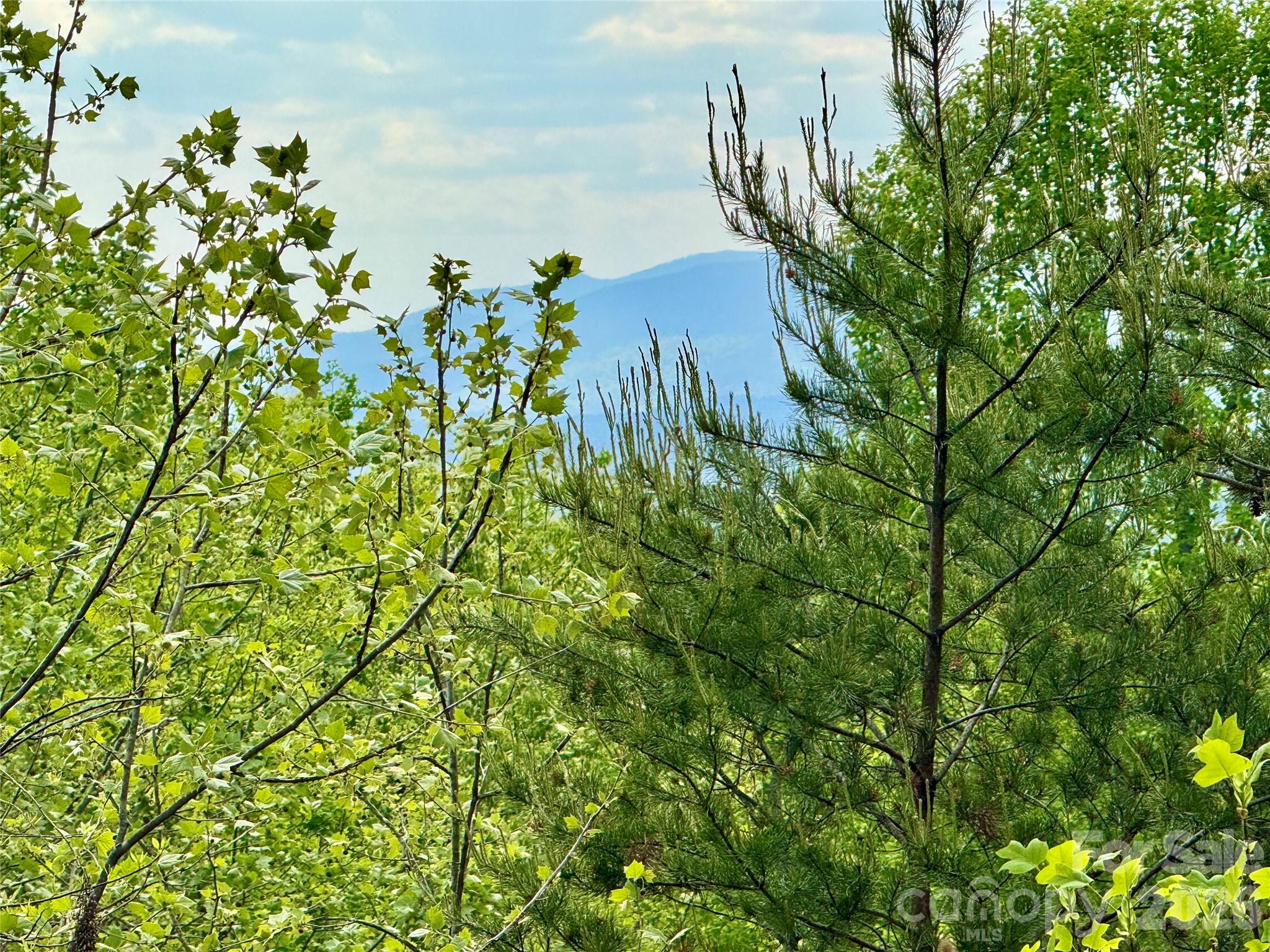 Lot at Lot 161/162 Rocky Falls Lane, Lenoir, photo 6 of 45