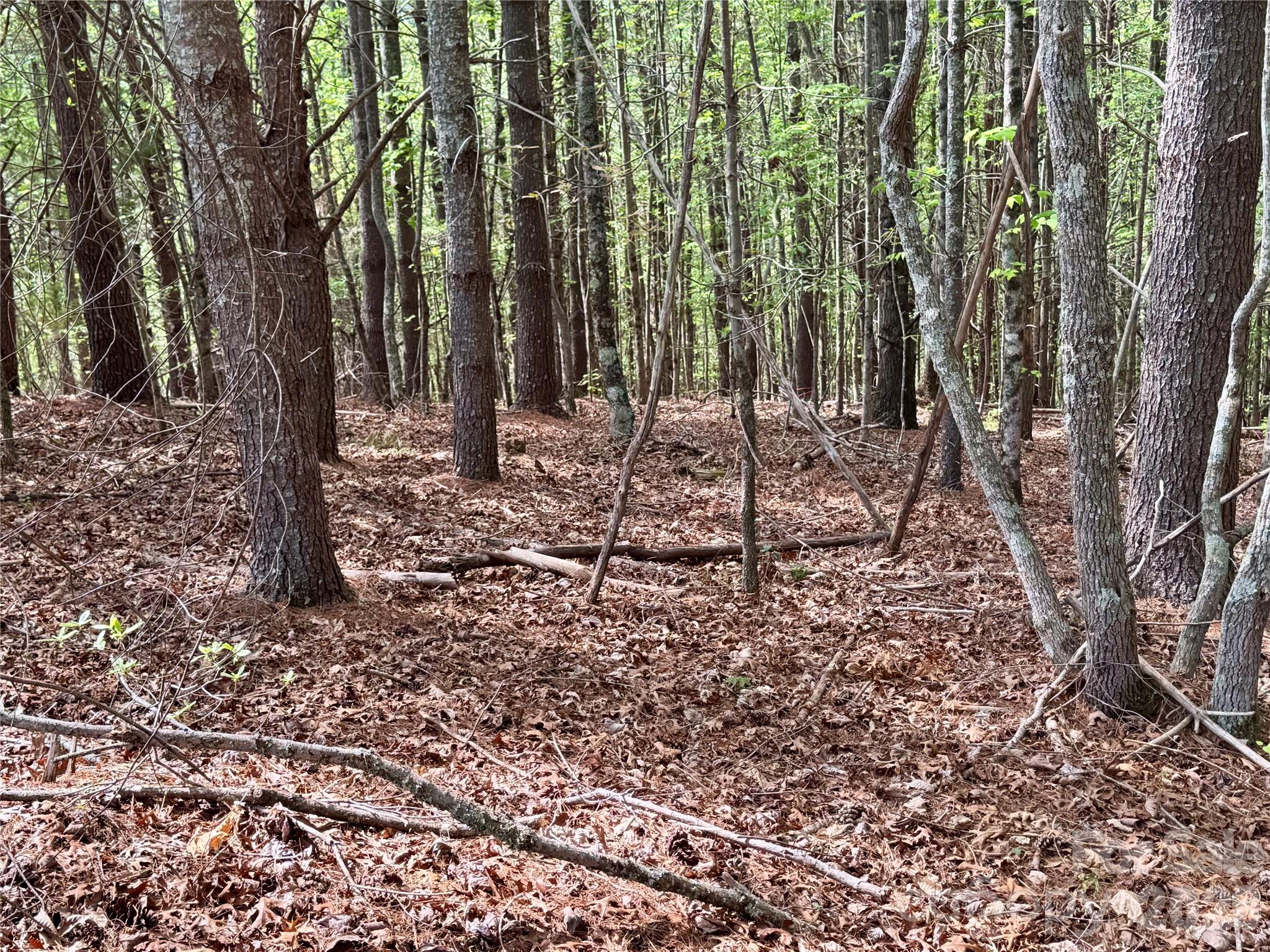 Lot at Lot 161/162 Rocky Falls Lane, Lenoir, photo 7 of 45