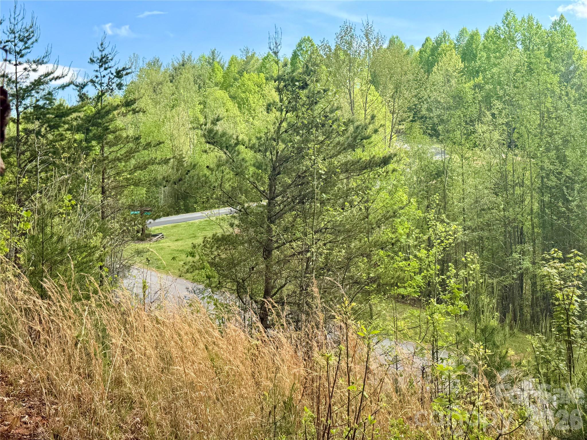 Lot at Lot 161/162 Rocky Falls Lane, Lenoir, photo 5 of 45