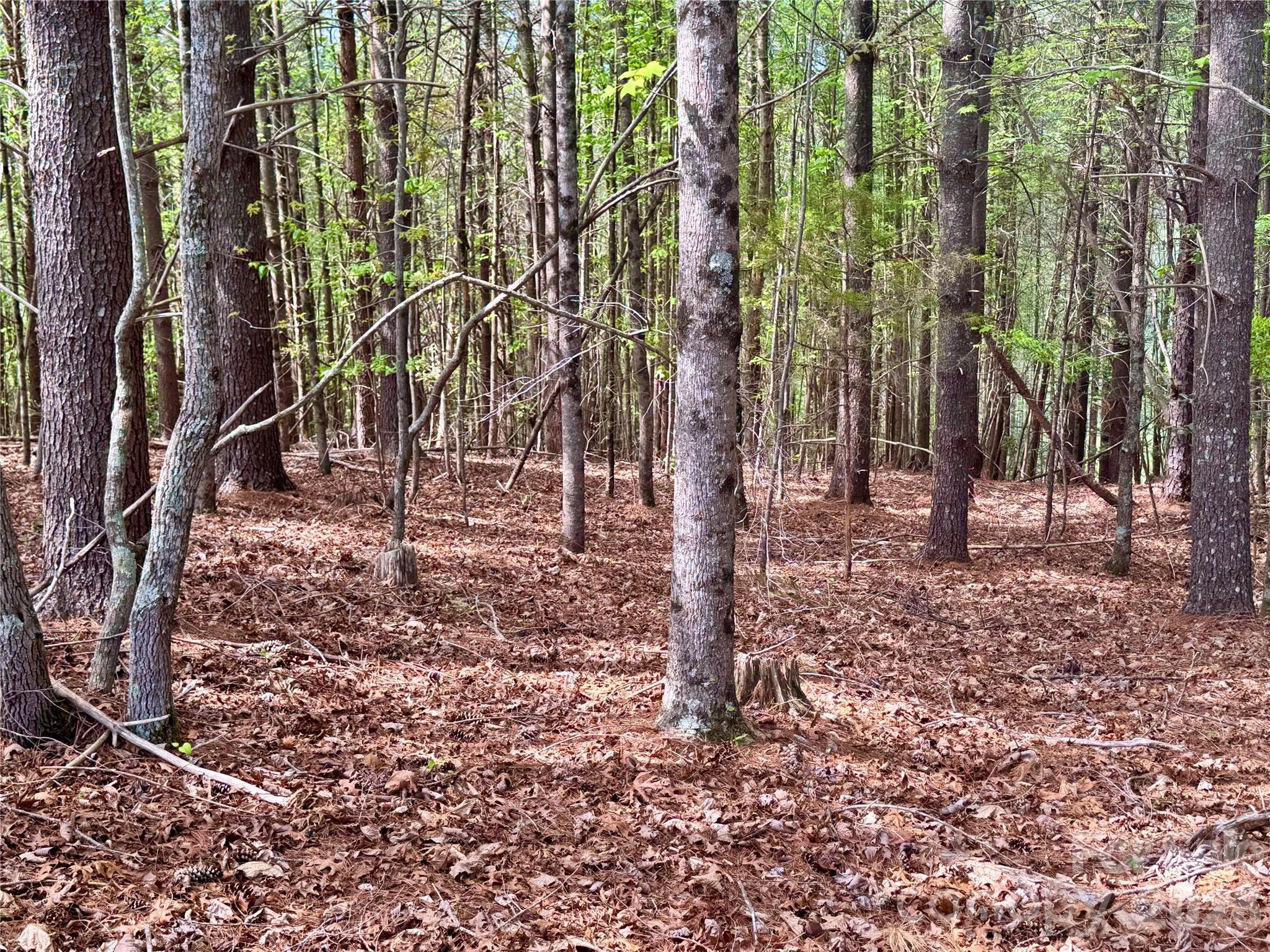 Lot at Lot 161/162 Rocky Falls Lane, Lenoir, photo 8 of 45
