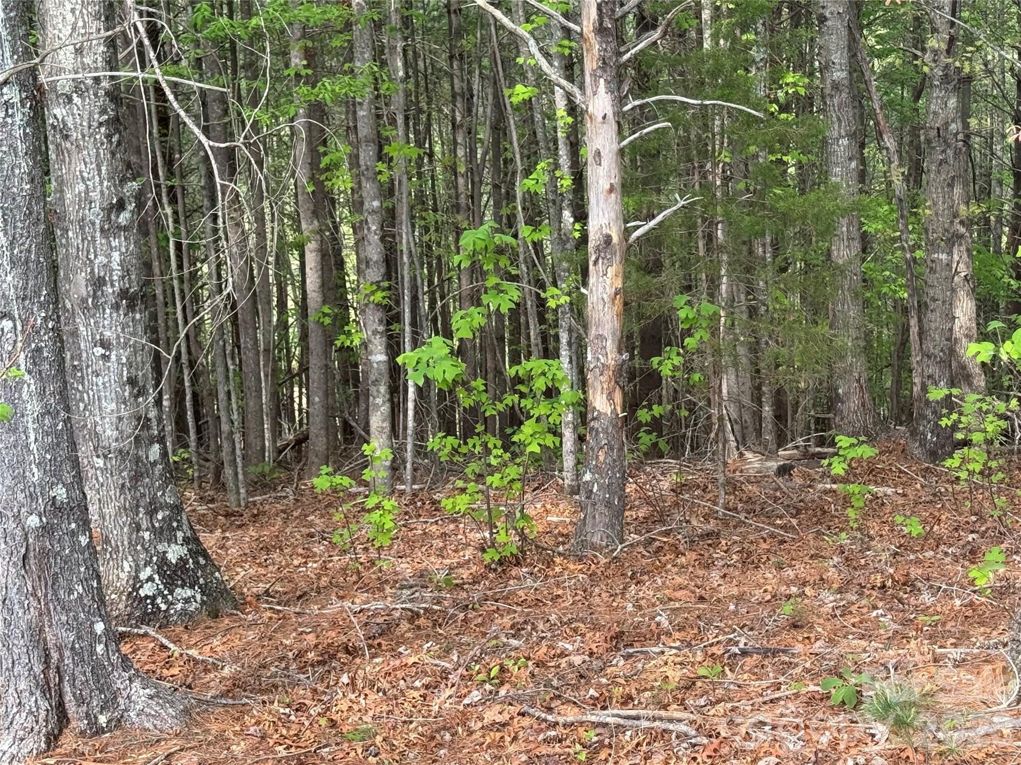 Lot at Lot 161/162 Rocky Falls Lane, Lenoir, photo 9 of 45