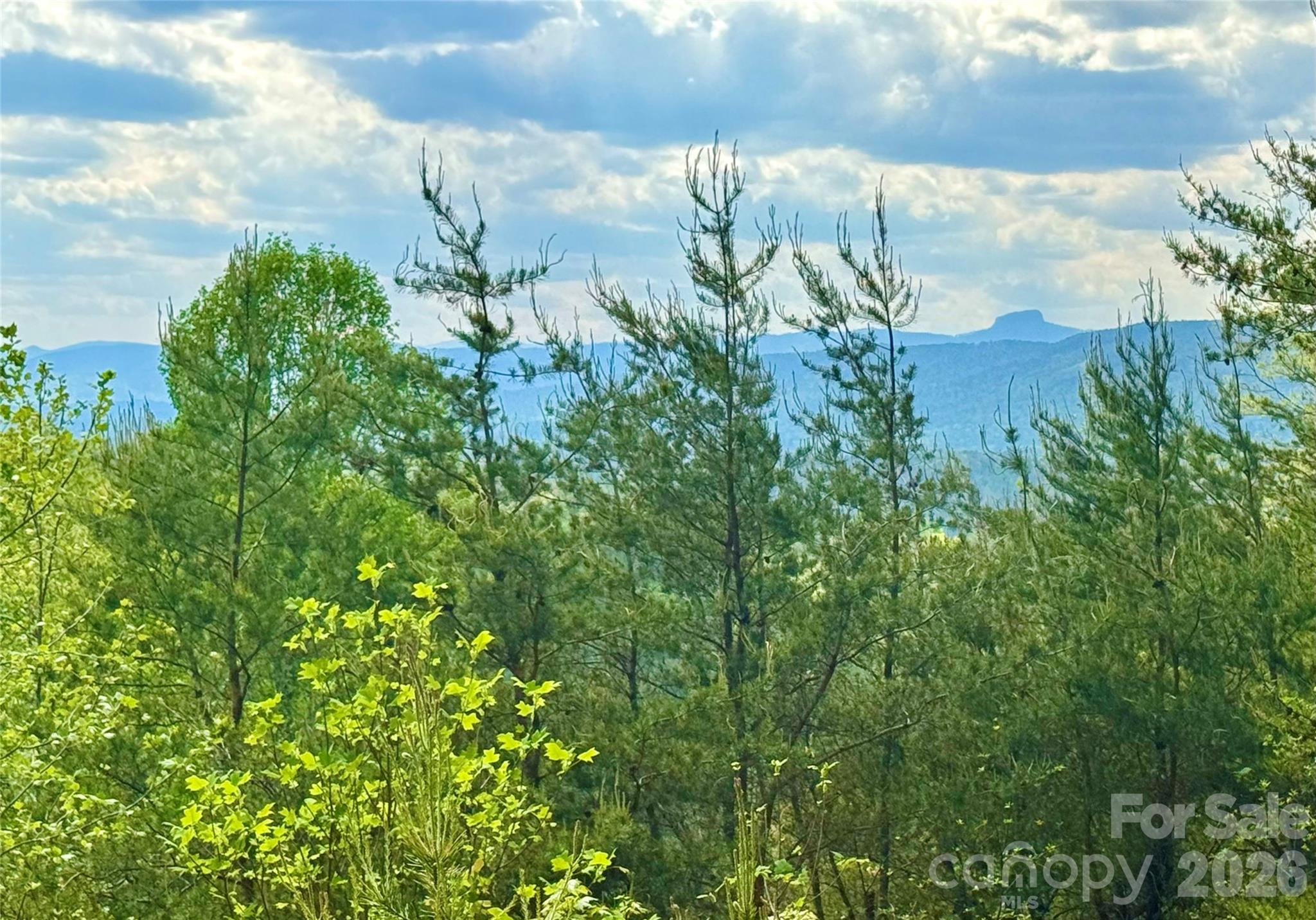 Lot at Lot 161/162 Rocky Falls Lane, Lenoir, photo 10 of 45