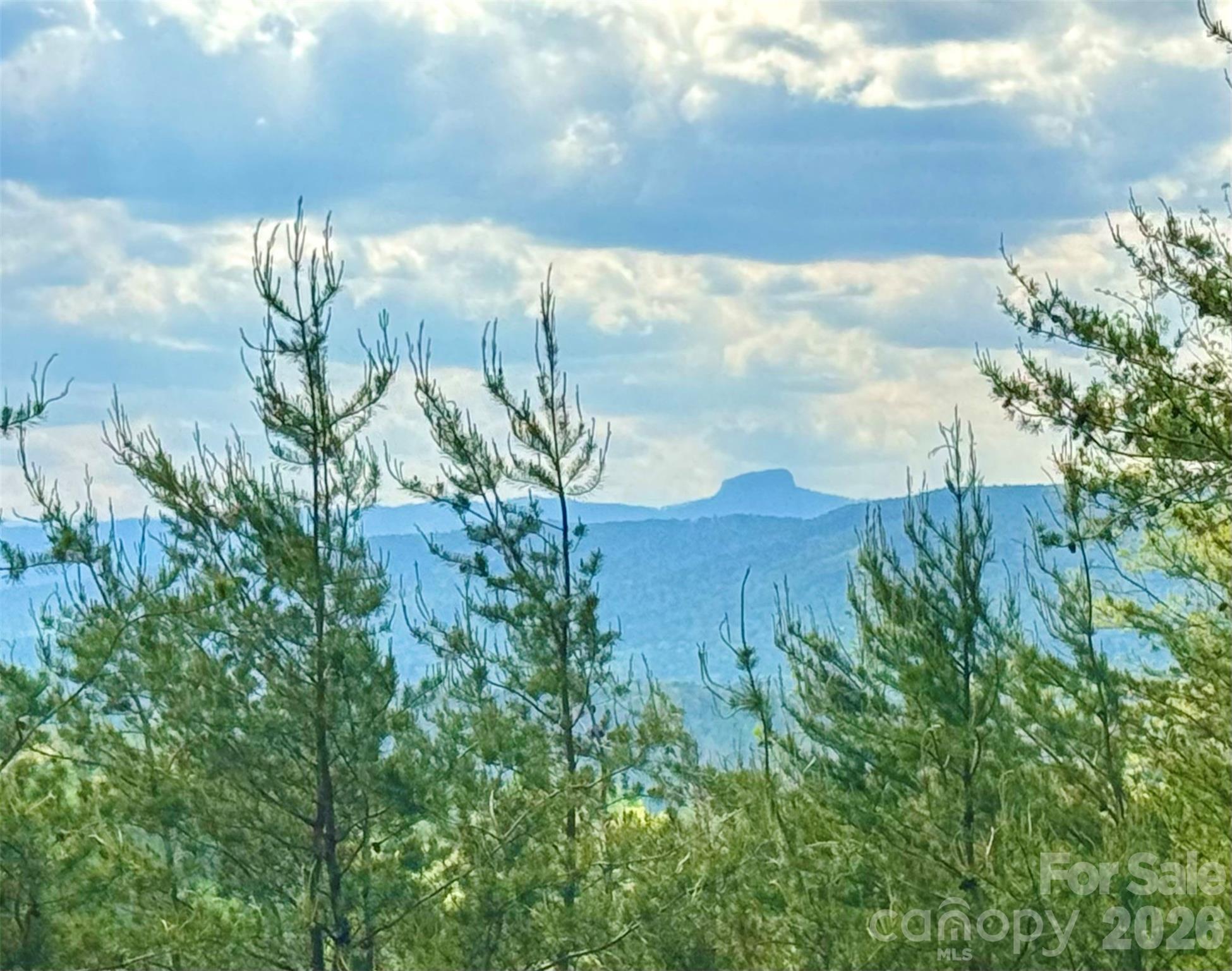 Lot at Lot 161/162 Rocky Falls Lane, Lenoir, photo 11 of 45