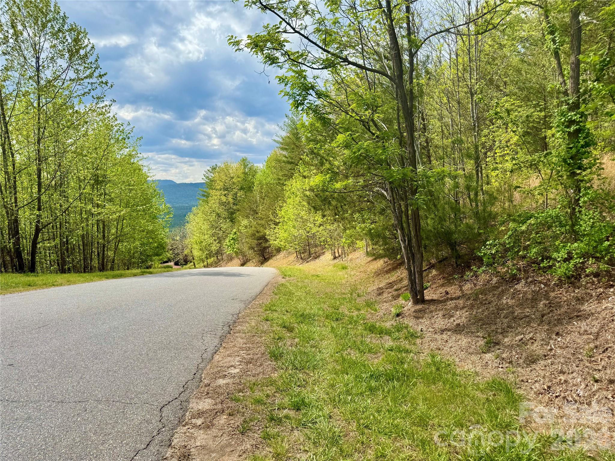 Lot at Lot 161/162 Rocky Falls Lane, Lenoir, photo 4 of 45