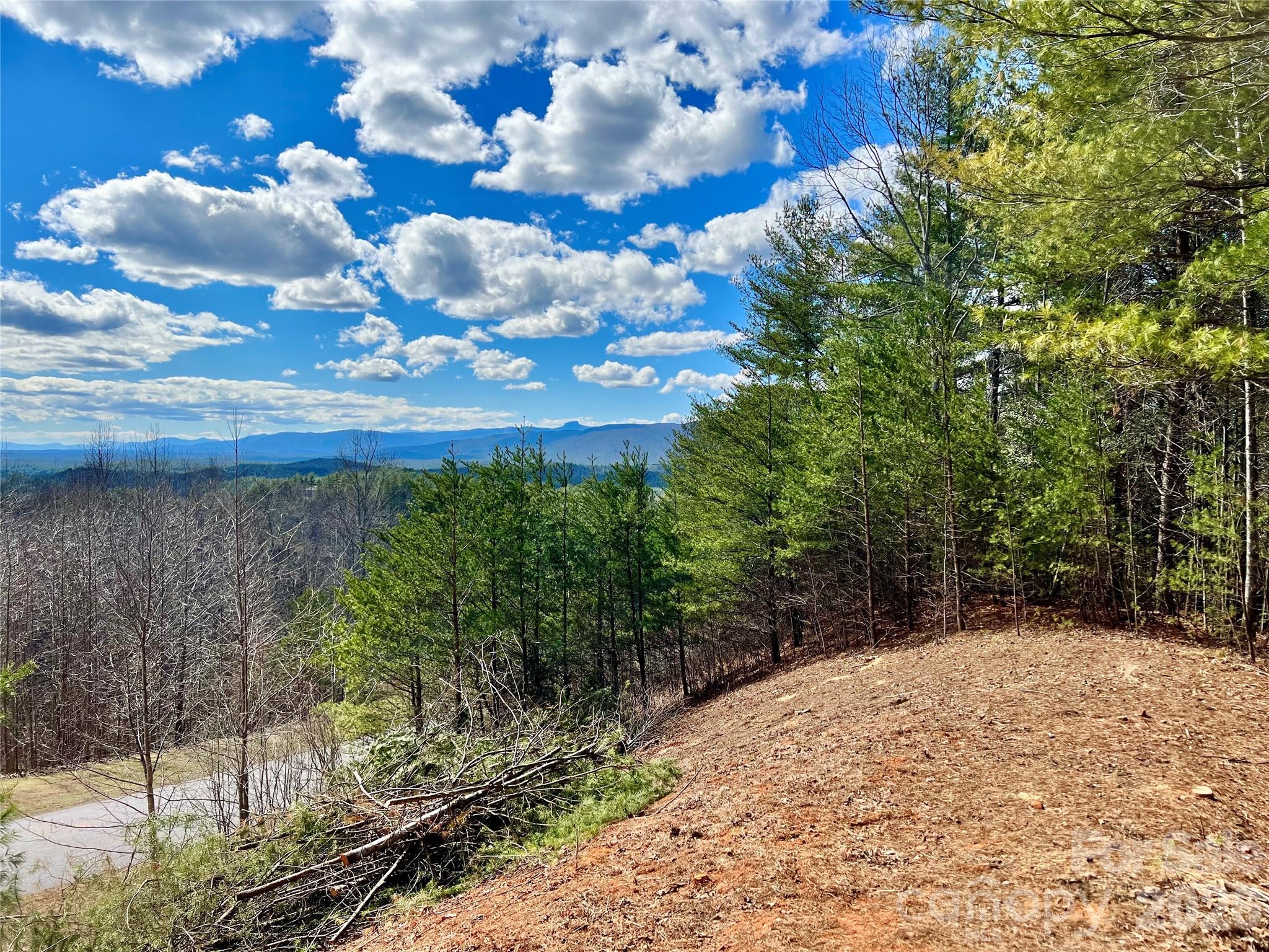Lot at Lot 161/162 Rocky Falls Lane, Lenoir, photo 13 of 45