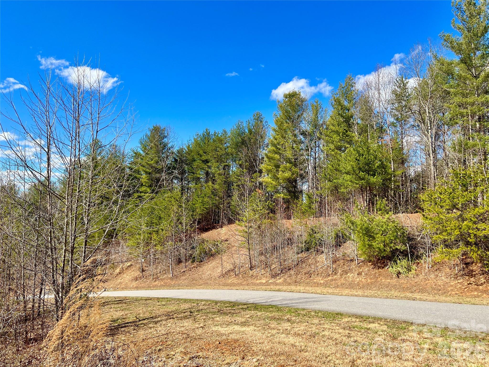 Lot at Lot 161/162 Rocky Falls Lane, Lenoir, photo 14 of 45