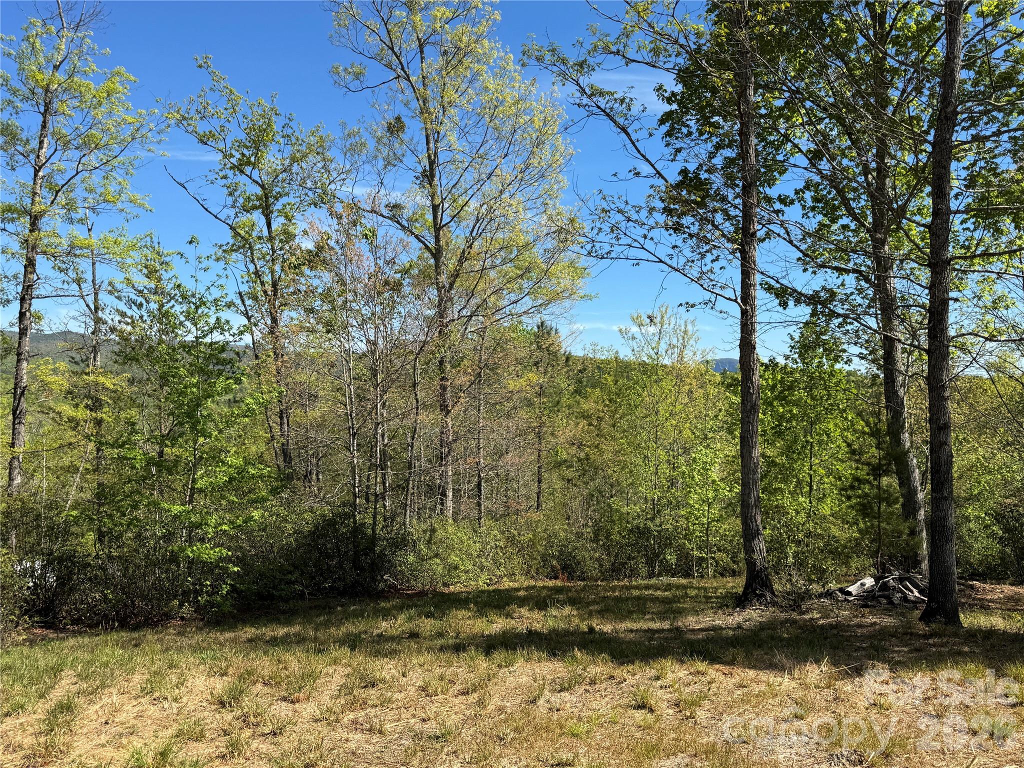 Mountain Views - 284 Bear Cliff Circle, Nebo