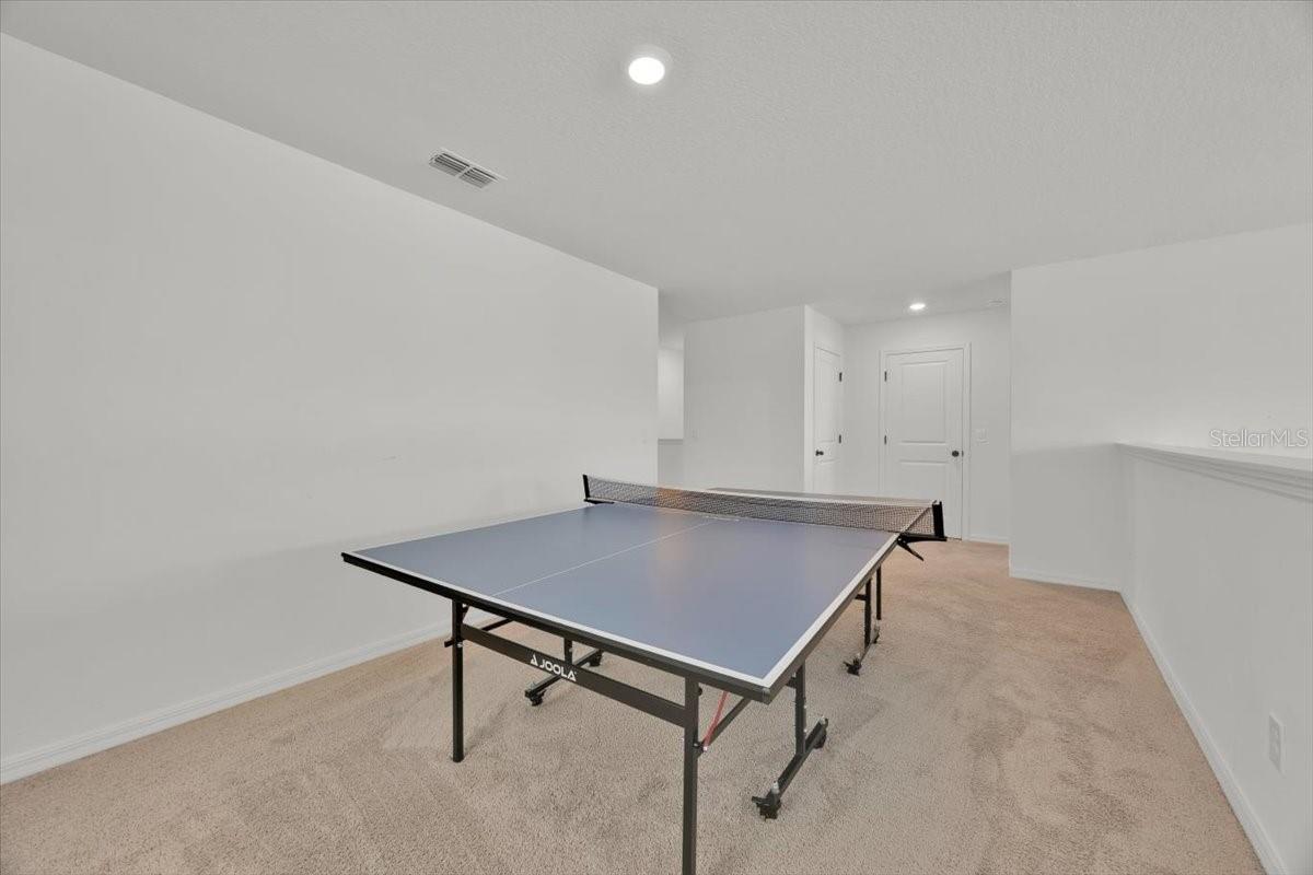 Loft with Ping Pong Table - 2342 LANCASHIRE ST, DAVENPORT
