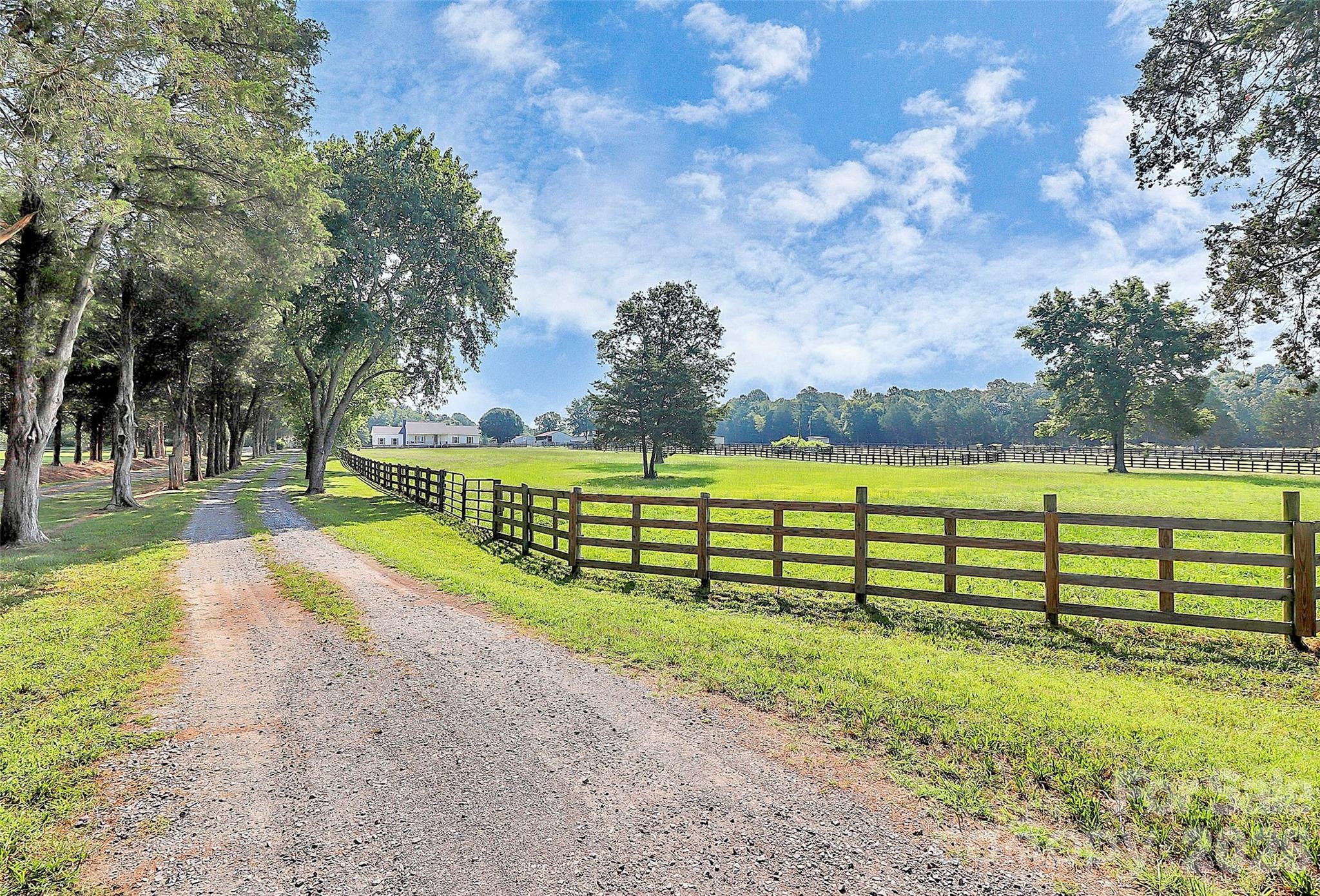 Entry/Drive Way Lined with Trees - 5008 Steele Village Road, Rock Hill