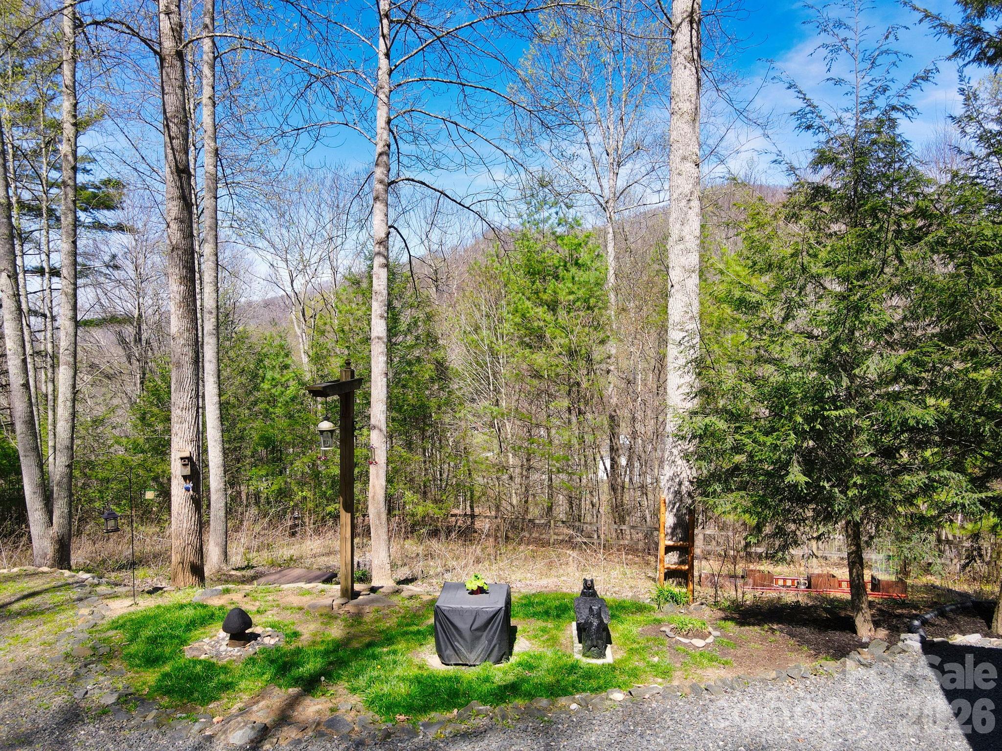 Single Family Residence at 307 Dancing Leaf Lane, Bakersville, photo 2 of 24