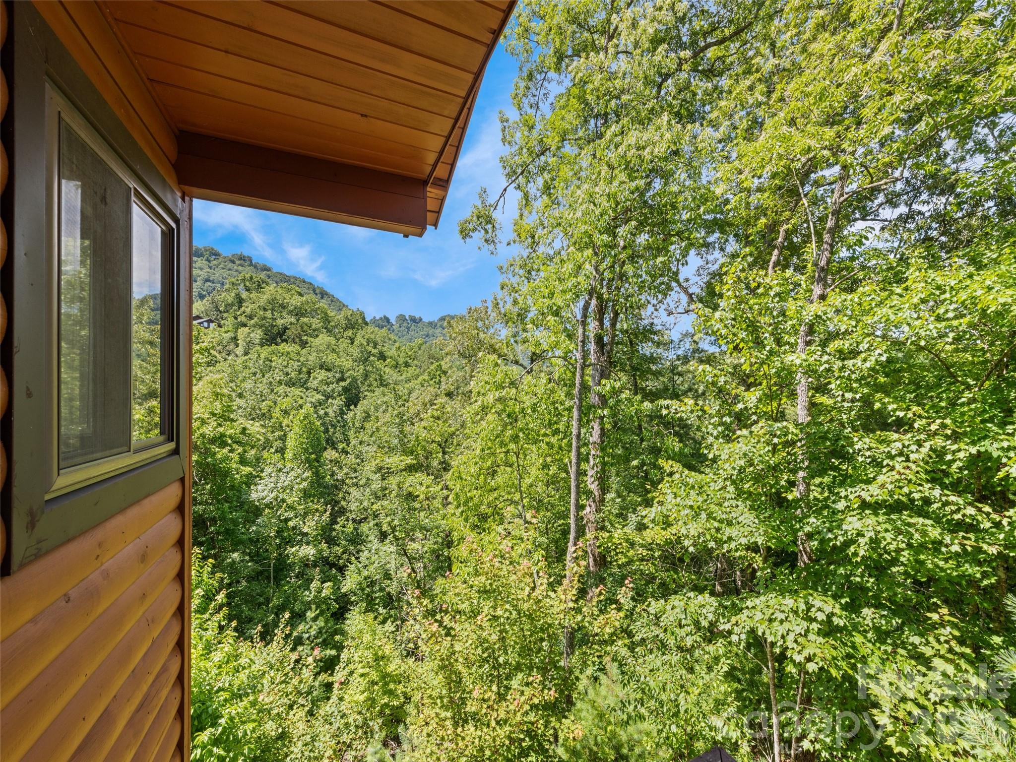 Single Family Residence at 299 Blue Ridge Parkway, Bryson City, photo 23 of 27
