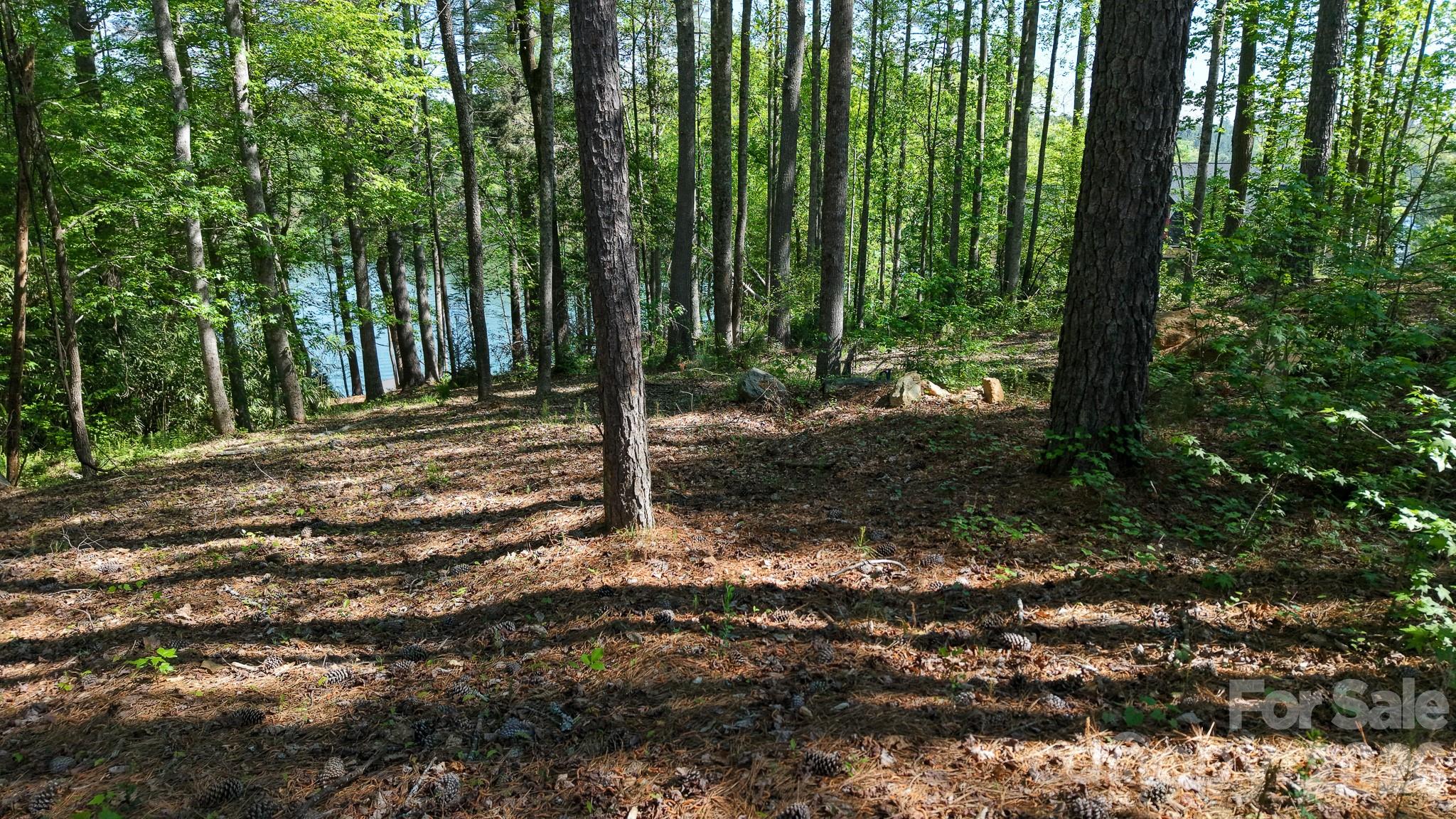 Lot at 105 Beacon Ridge Drive, Connelly Springs, photo 20 of 32