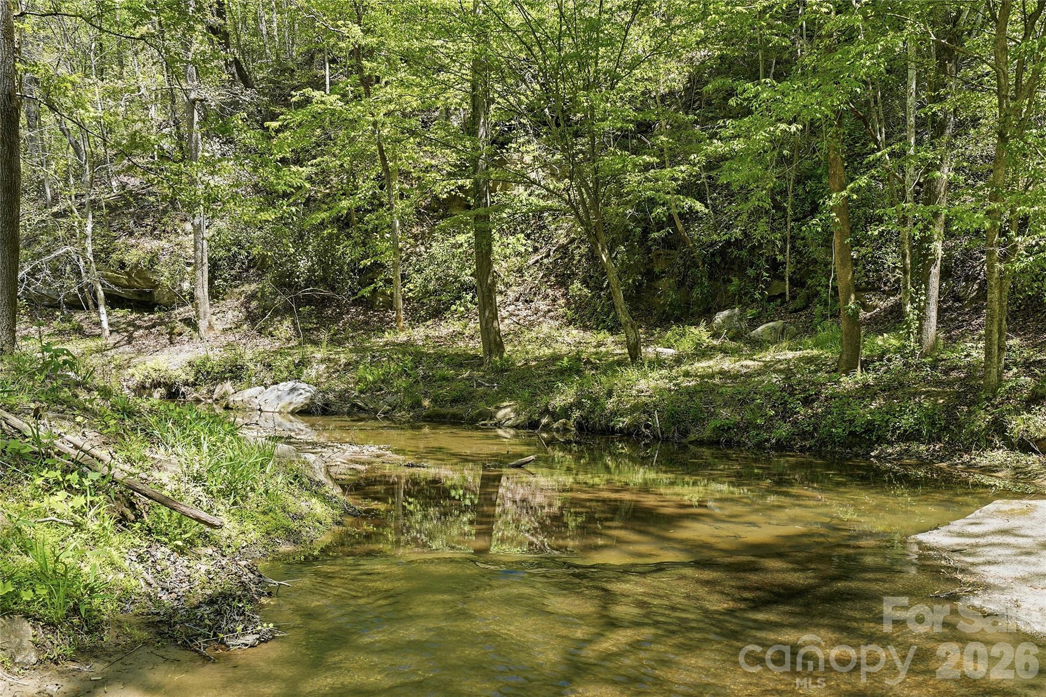 Bright's Creek - 723 N Highland Road, Mill Spring