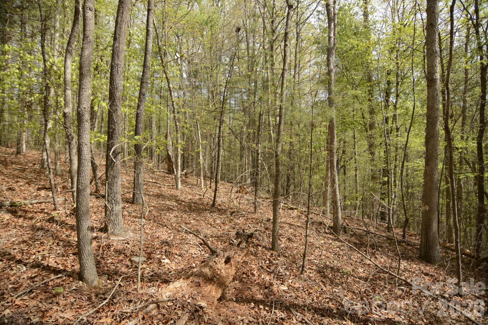 Acreage at 00 Garnet Drive, Leicester, photo 2 of 19