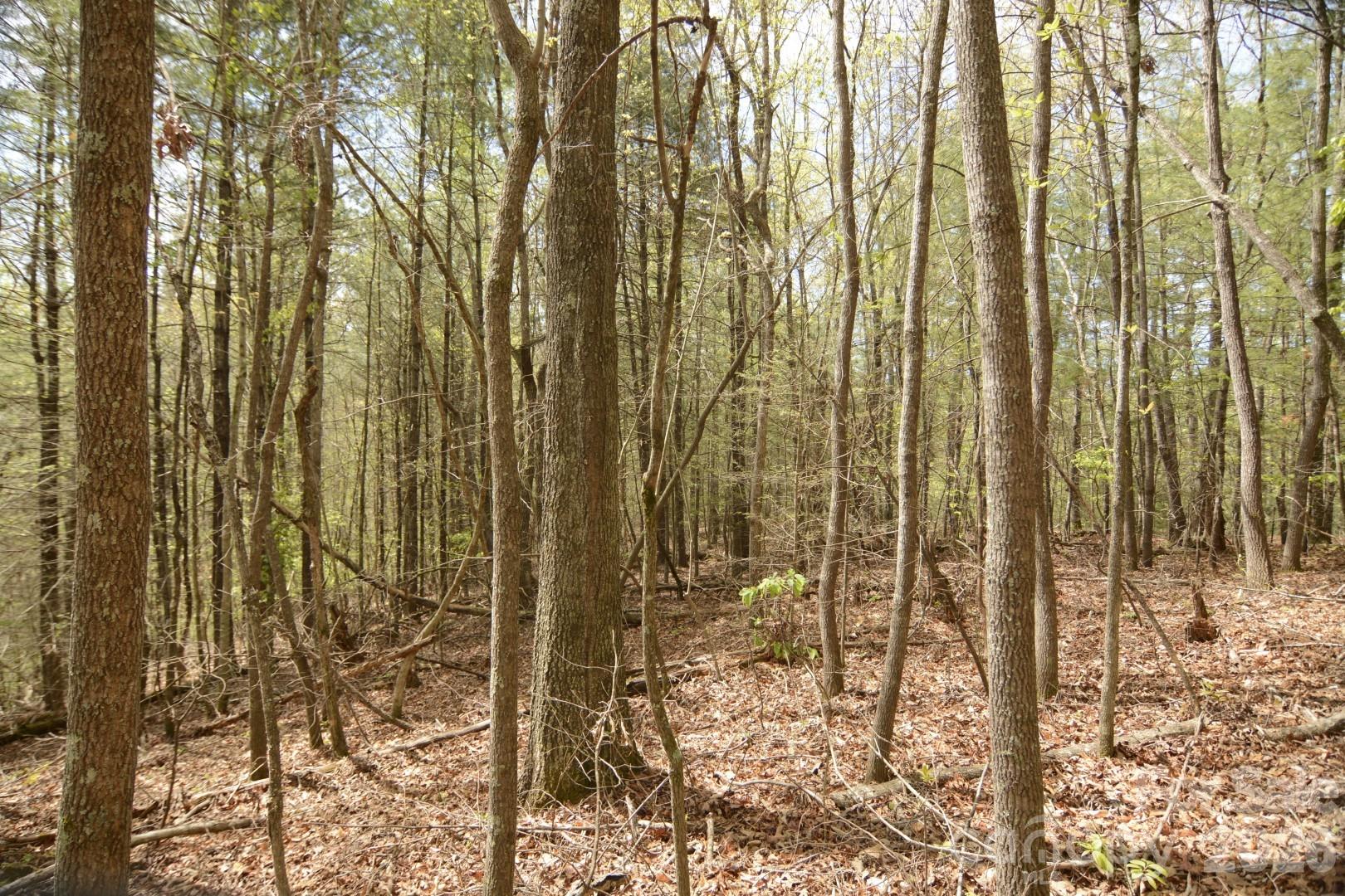 Acreage at 00 Garnet Drive, Leicester, photo 4 of 19