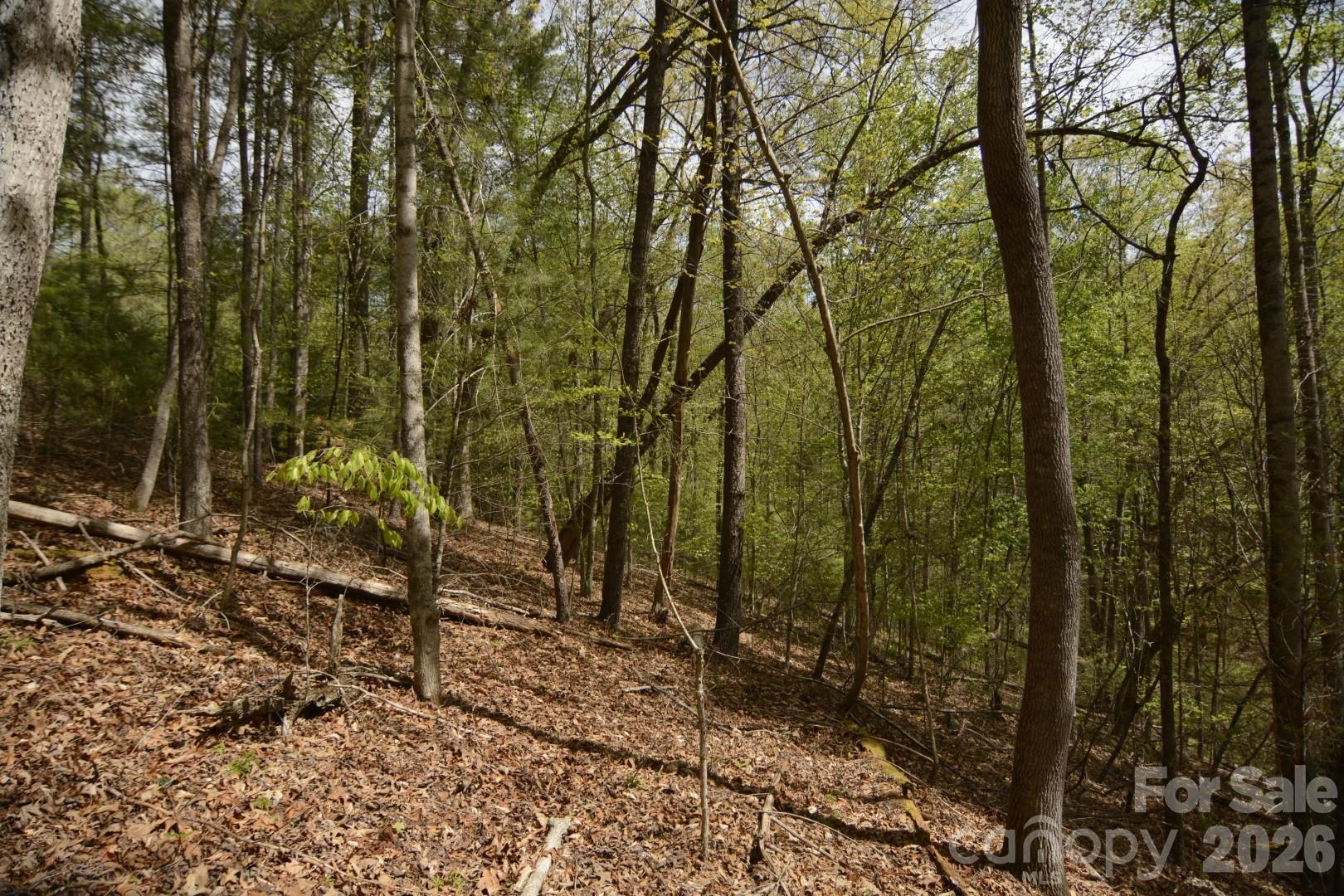 Acreage at 00 Garnet Drive, Leicester, photo 5 of 19
