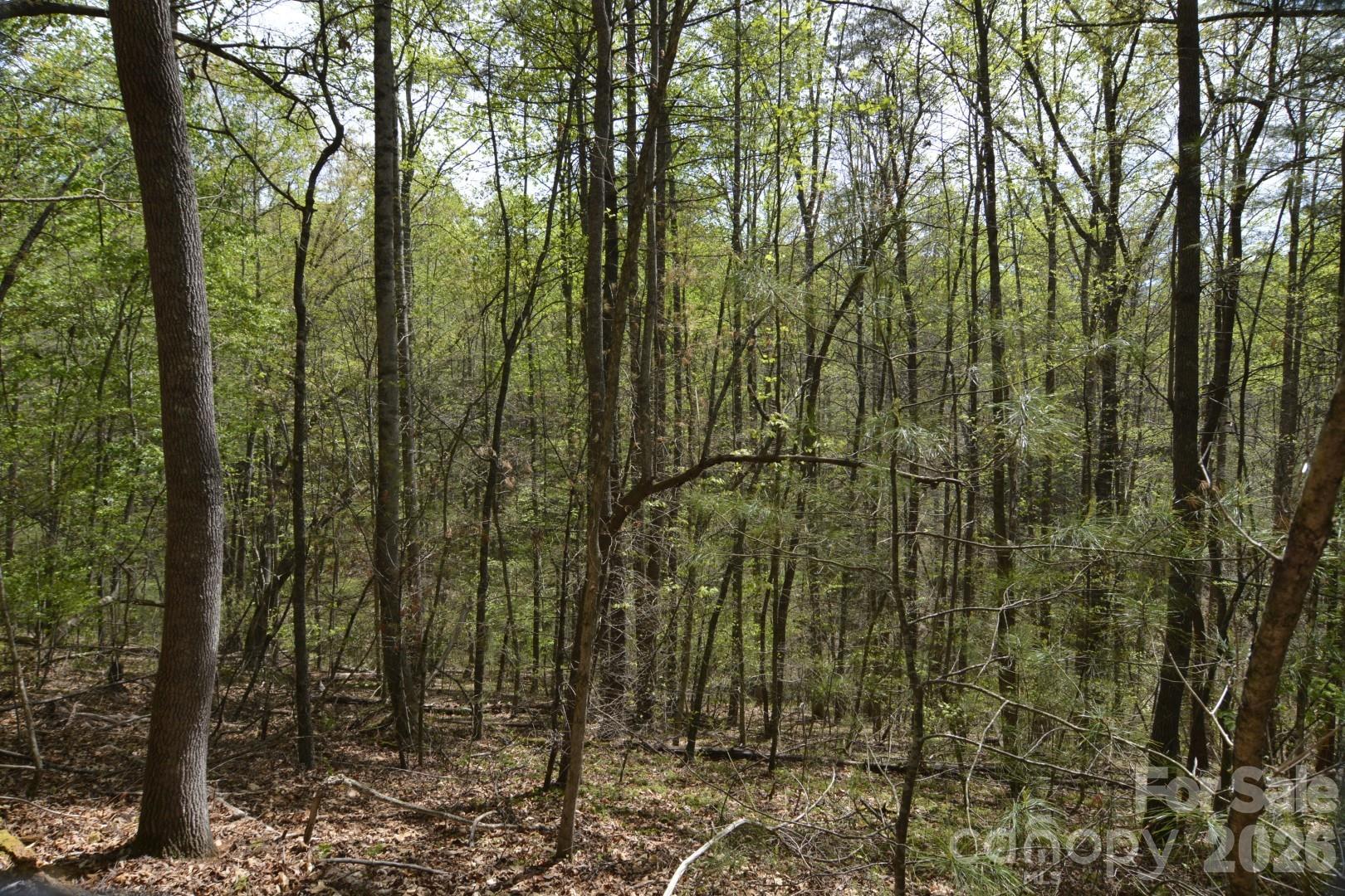 Acreage at 00 Garnet Drive, Leicester, photo 6 of 19