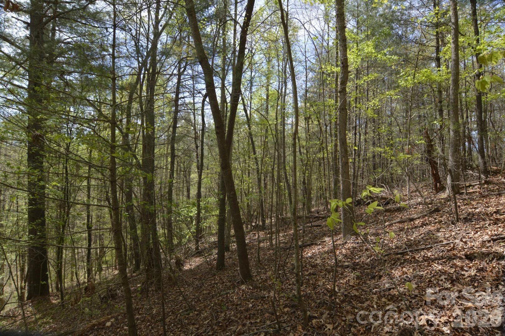 Acreage at 00 Garnet Drive, Leicester, photo 7 of 19
