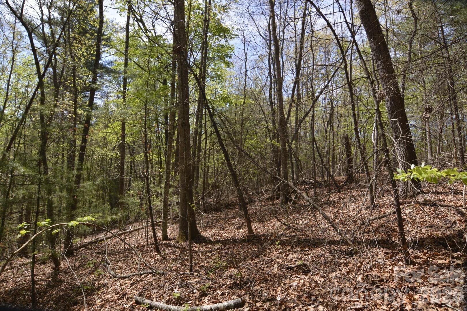 Acreage at 00 Garnet Drive, Leicester, photo 9 of 19