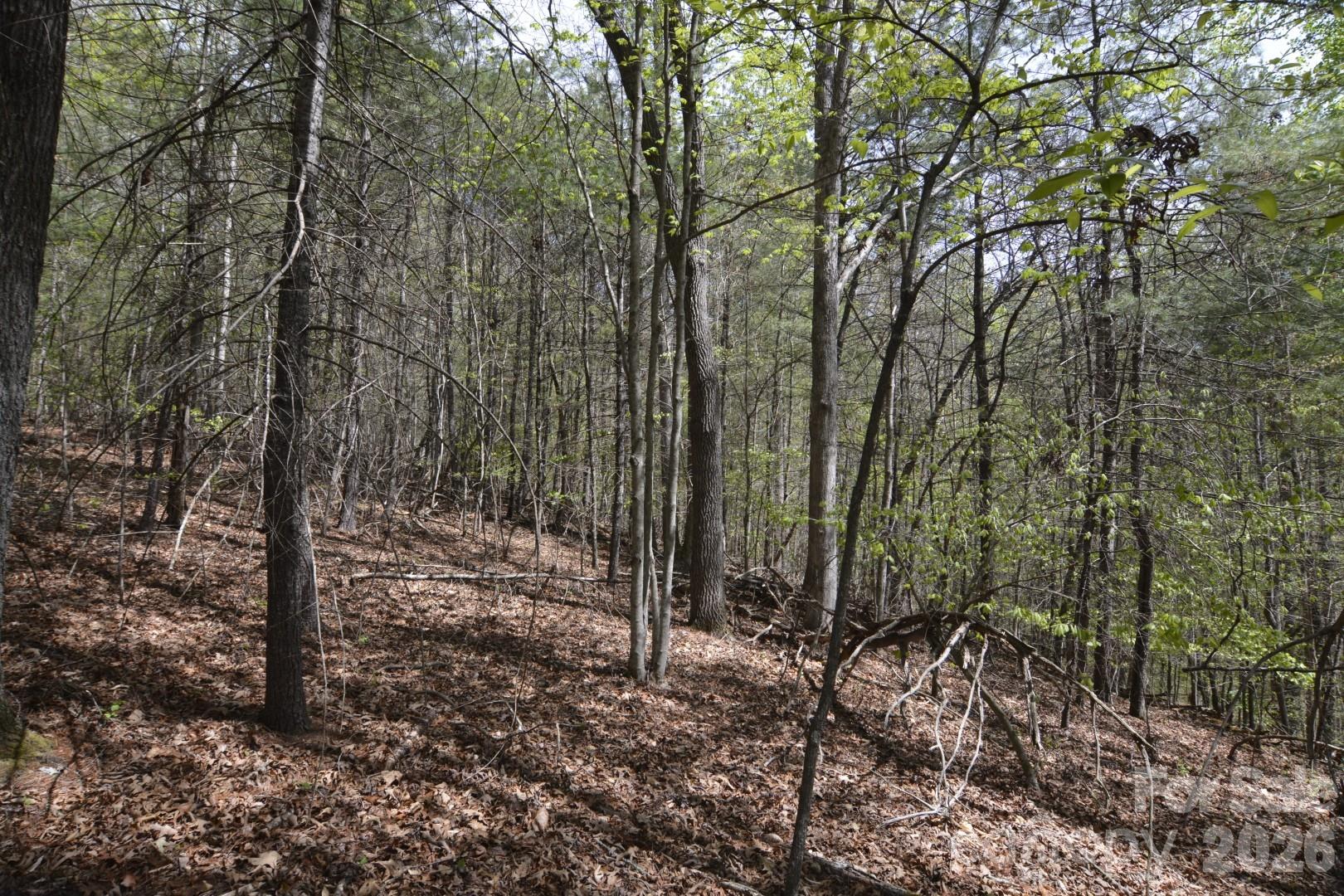 Acreage at 00 Garnet Drive, Leicester, photo 10 of 19