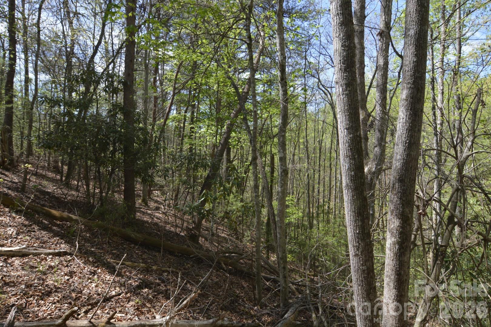 Acreage at 00 Garnet Drive, Leicester, photo 16 of 19