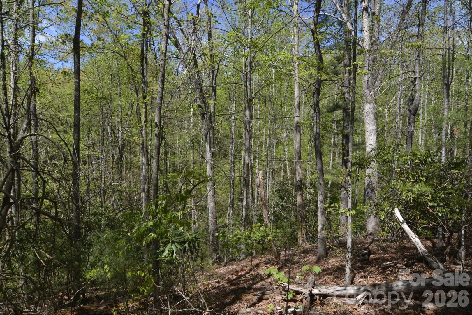 Acreage at 00 Garnet Drive, Leicester, photo 17 of 19
