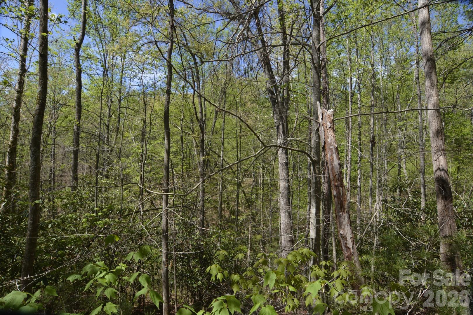 Acreage at 00 Garnet Drive, Leicester, photo 19 of 19