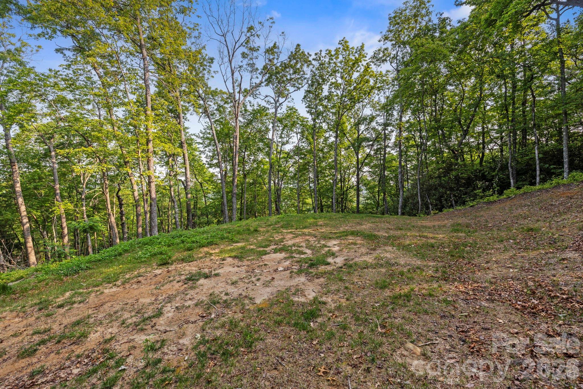 Acreage at 251 Paul McCoy Road, Lake Toxaway, photo 3 of 14