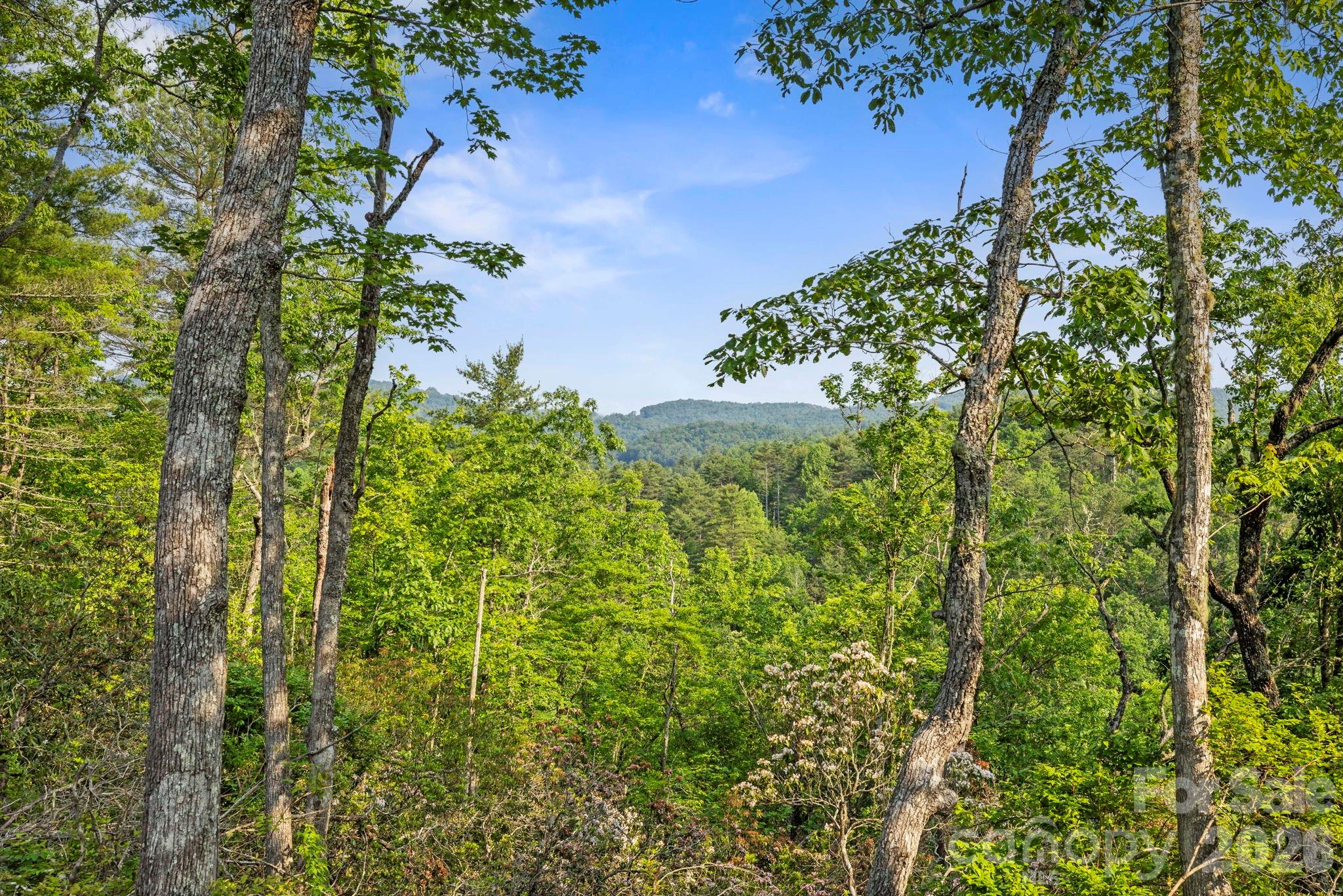 Acreage at 251 Paul McCoy Road, Lake Toxaway, photo 5 of 14